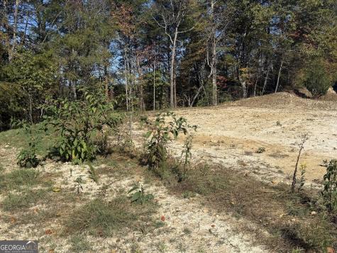 Lot 11 Lindsey Lane Blue Ridge GA 30513