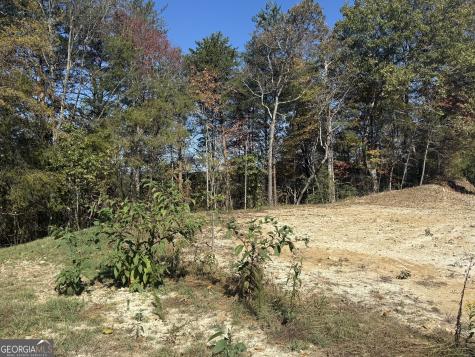Lot 11 Lindsey Lane Blue Ridge GA 30513