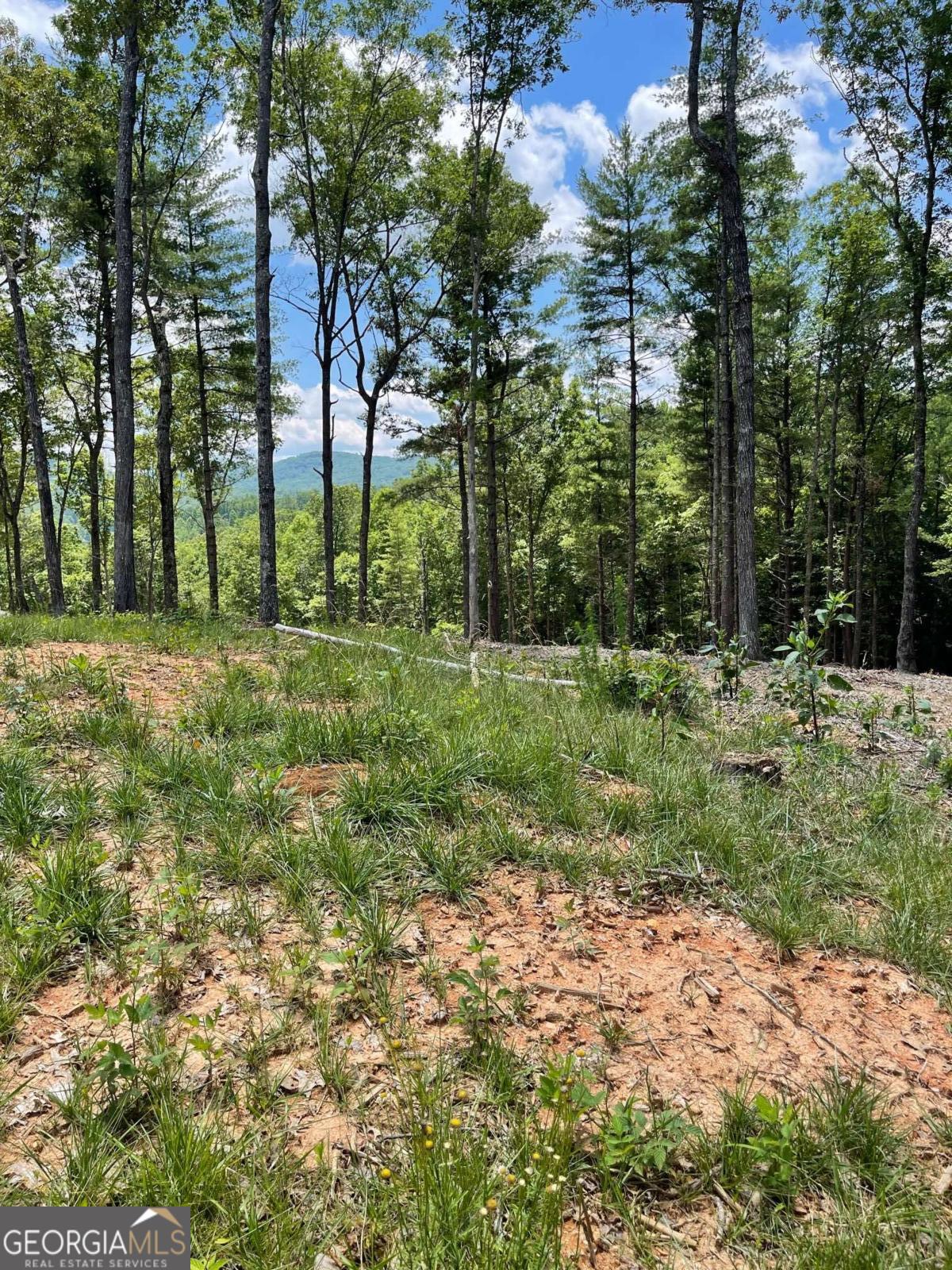 Lot 95 The Ridges Morganton GA 30560
