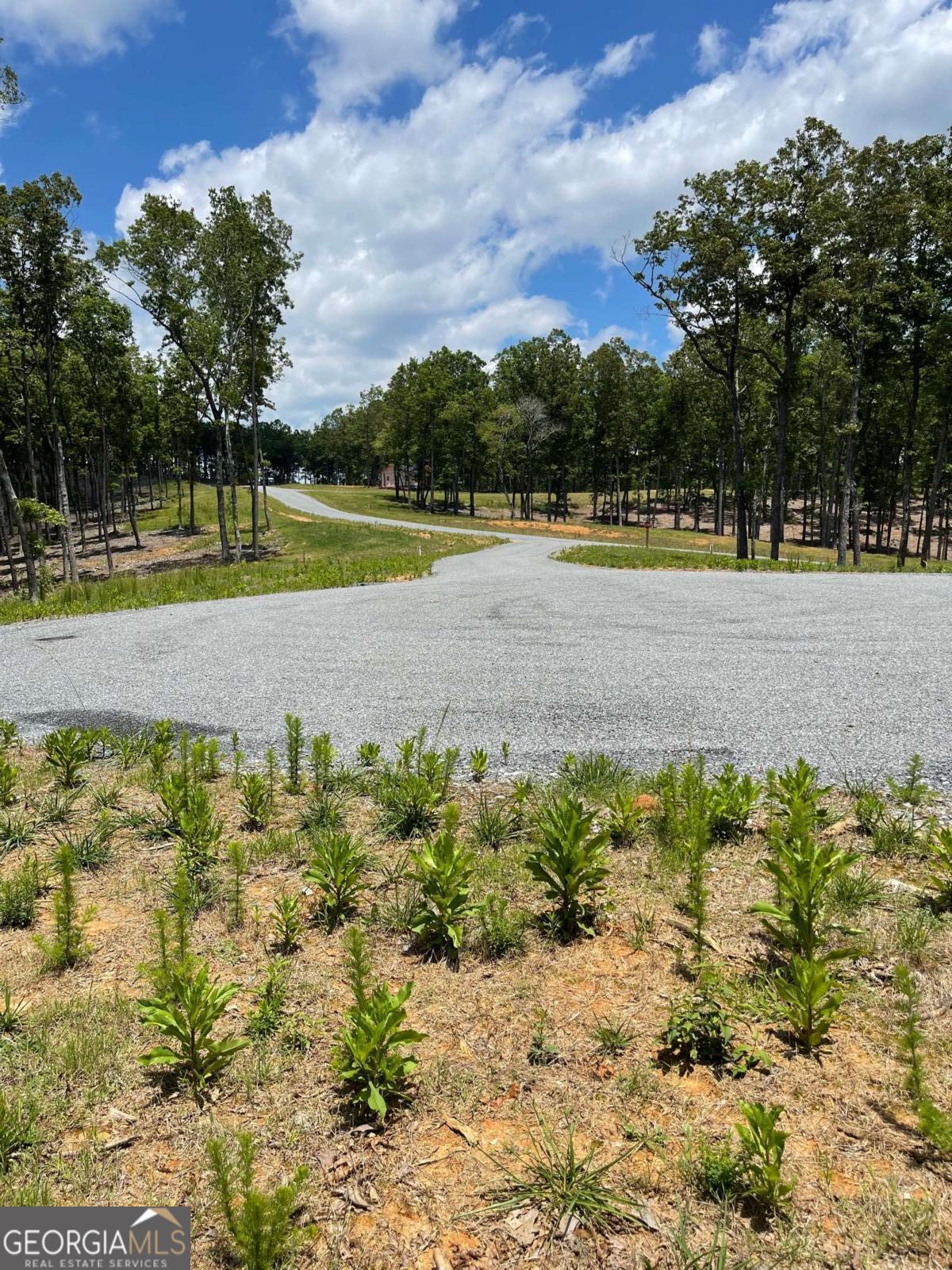 Lot 95 The Ridges Morganton GA 30560