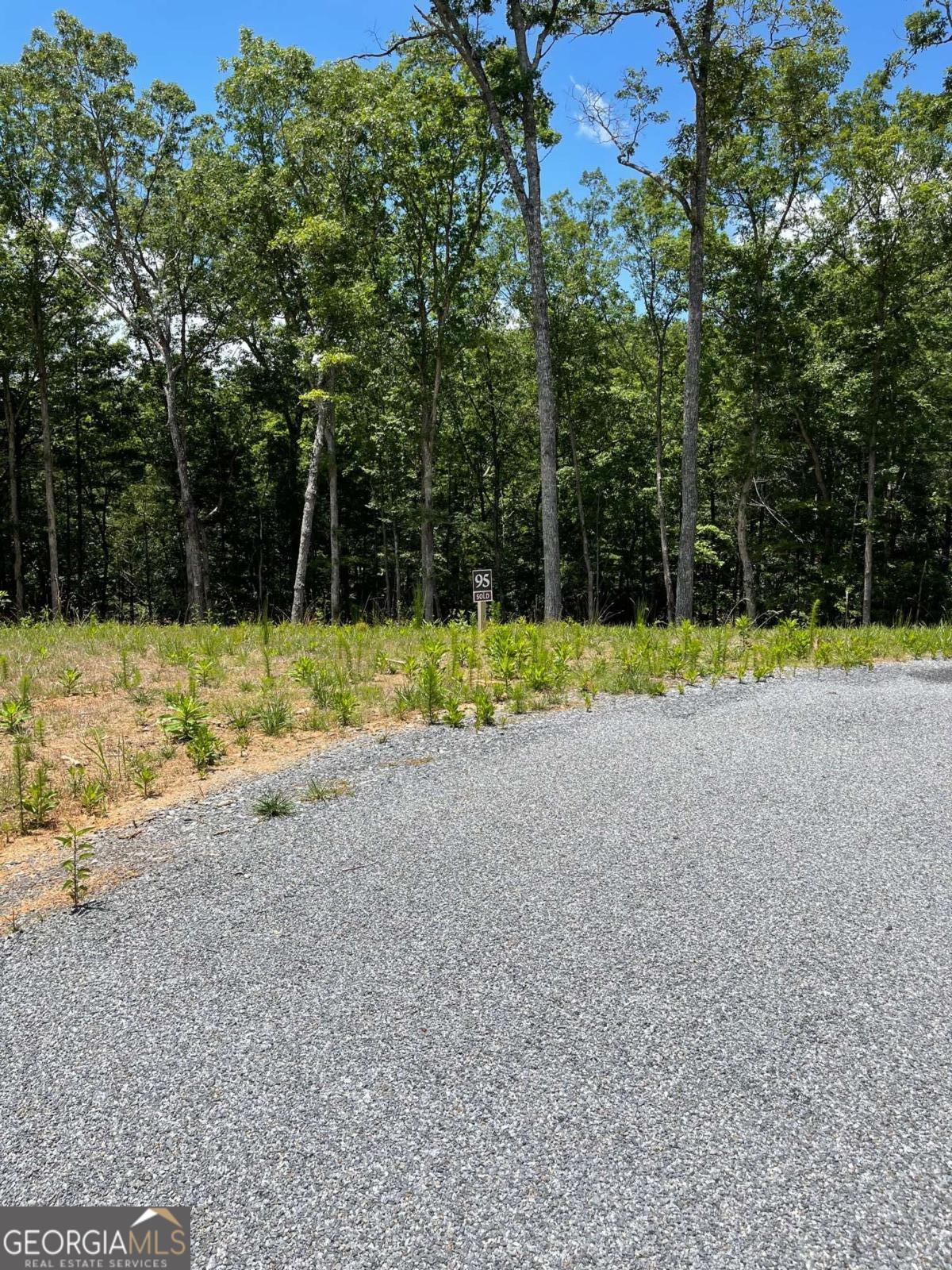 Lot 95 The Ridges Morganton GA 30560