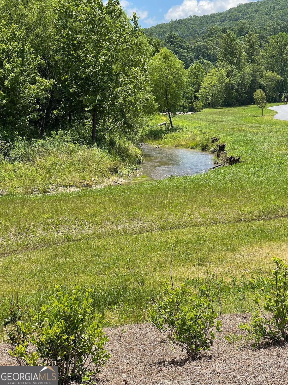 Lot 95 The Ridges Morganton GA 30560
