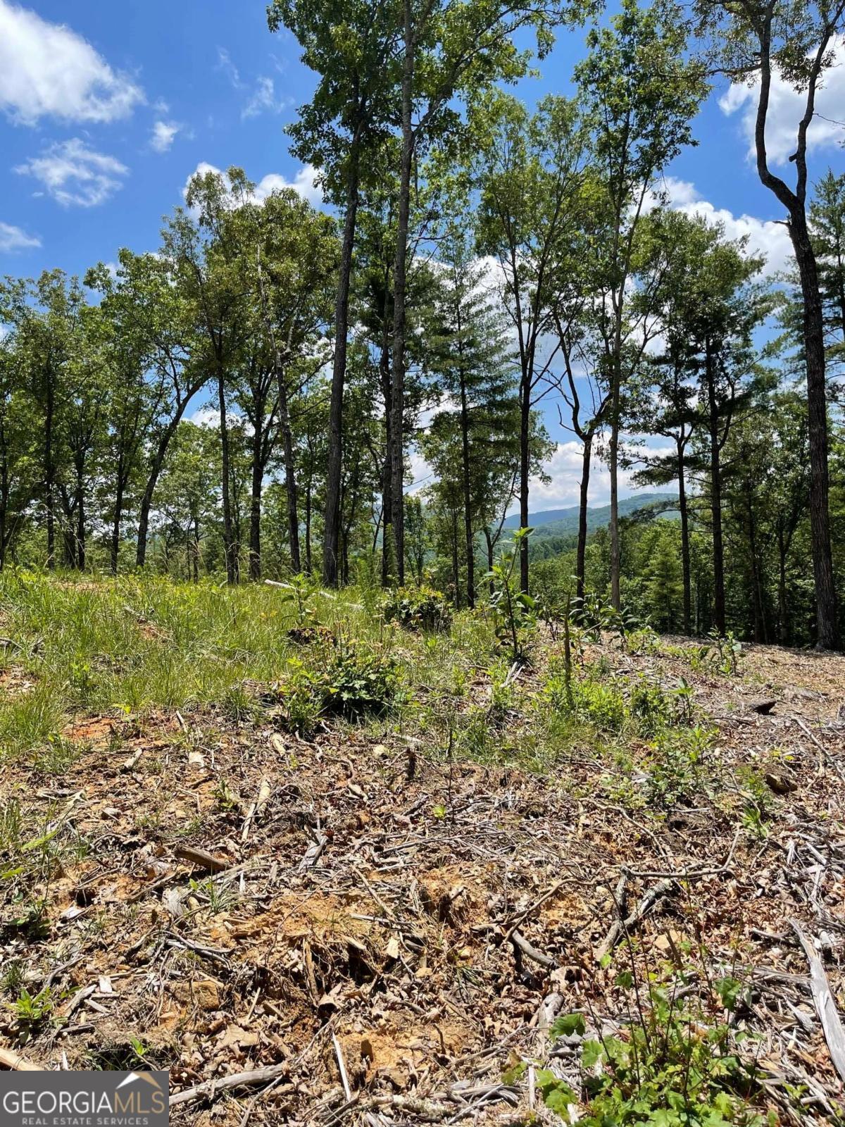 Lot 95 The Ridges Morganton GA 30560