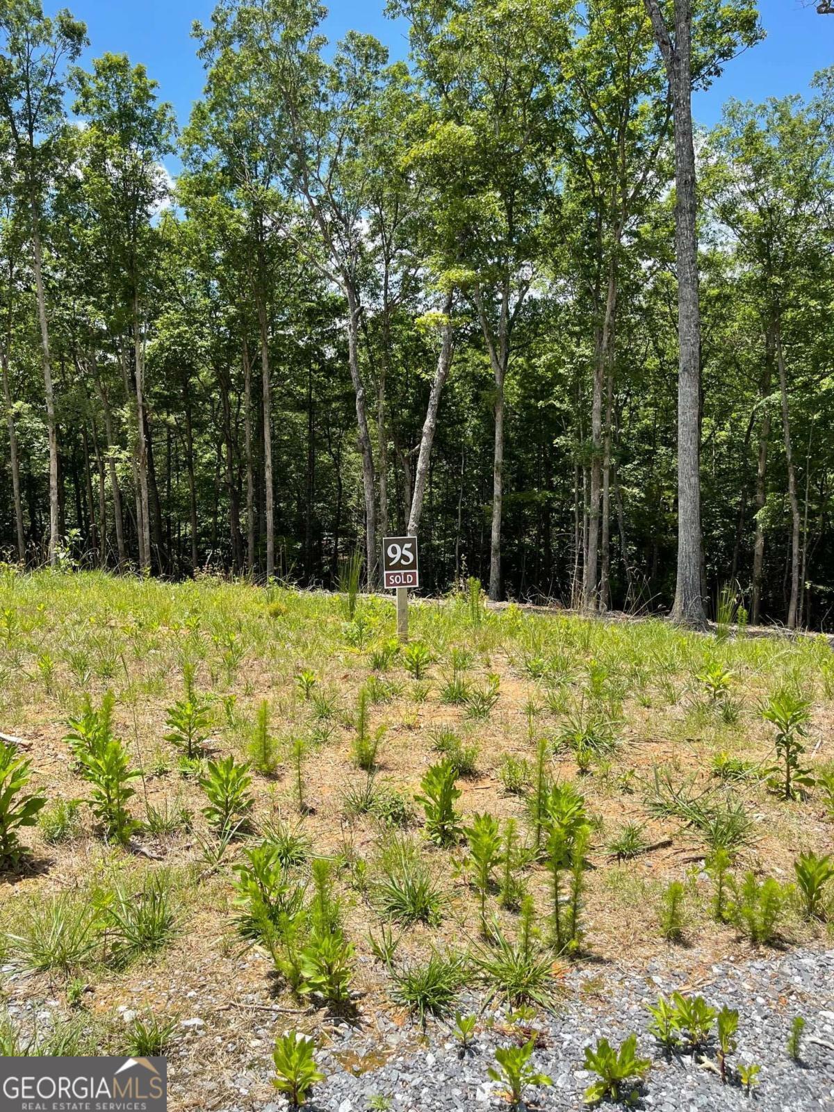 Lot 95 The Ridges Morganton GA 30560