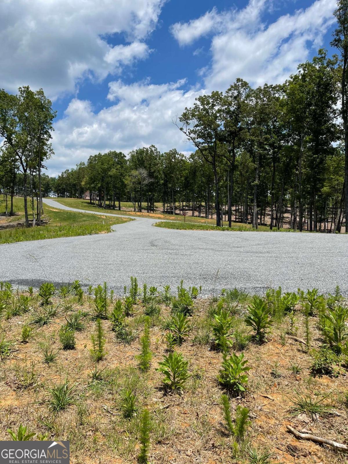 Lot 95 The Ridges Morganton GA 30560