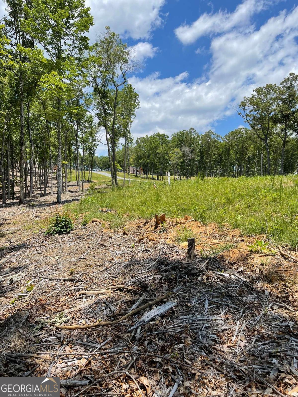 Lot 95 The Ridges Morganton GA 30560