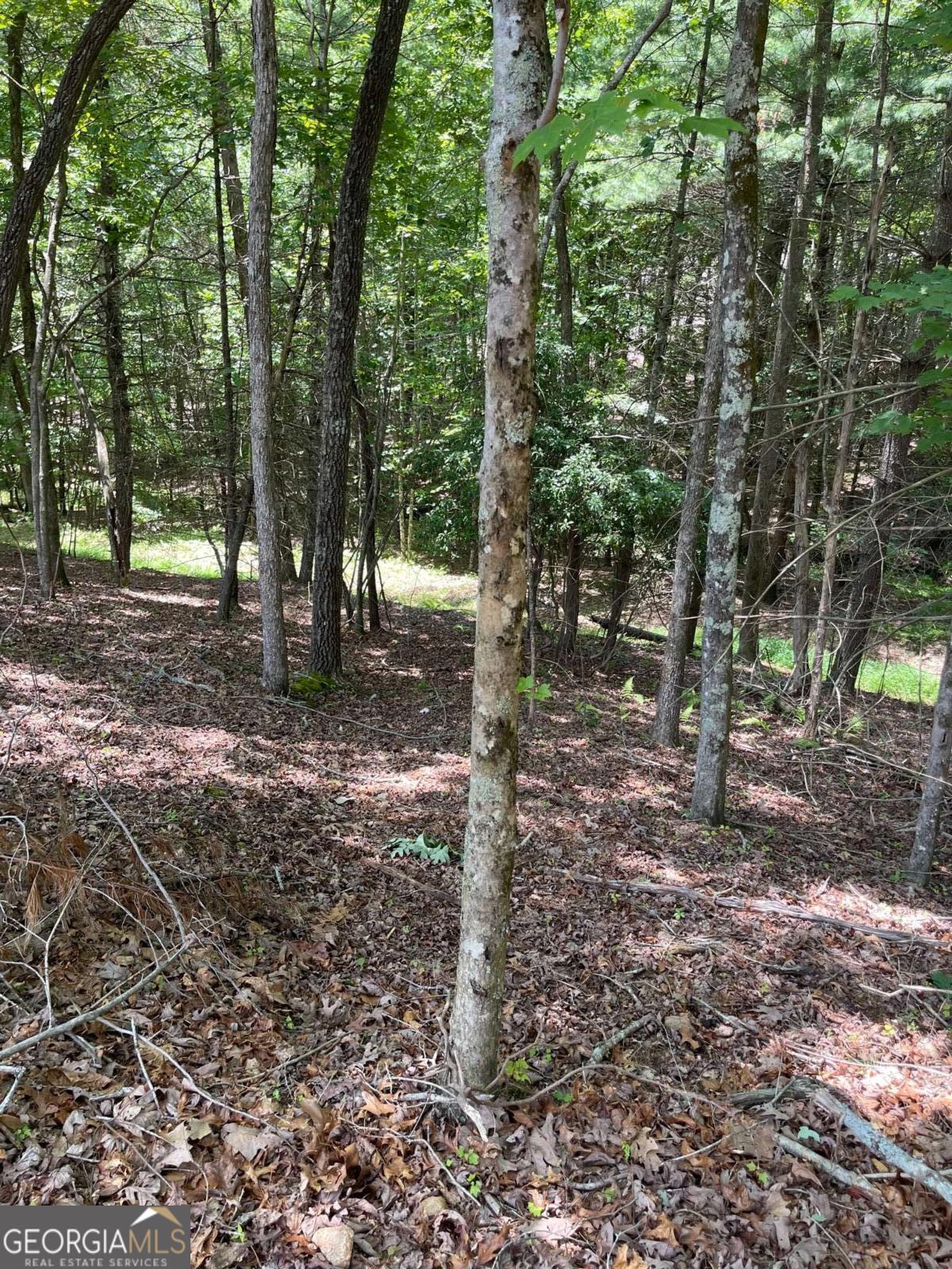 Lot 95 The Ridges Morganton GA 30560