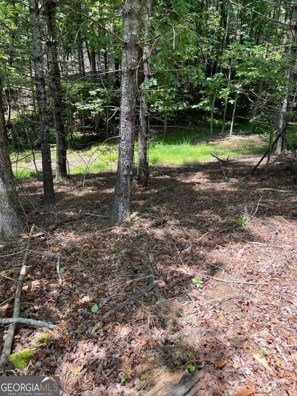 Lot 95 The Ridges Morganton GA 30560
