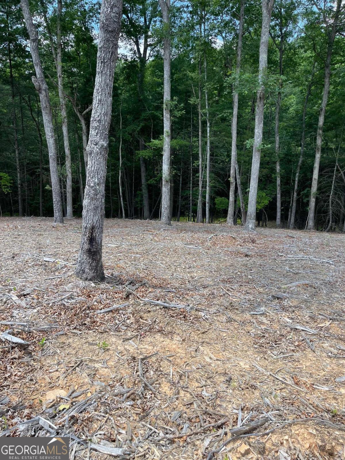 Lot 95 The Ridges Morganton GA 30560