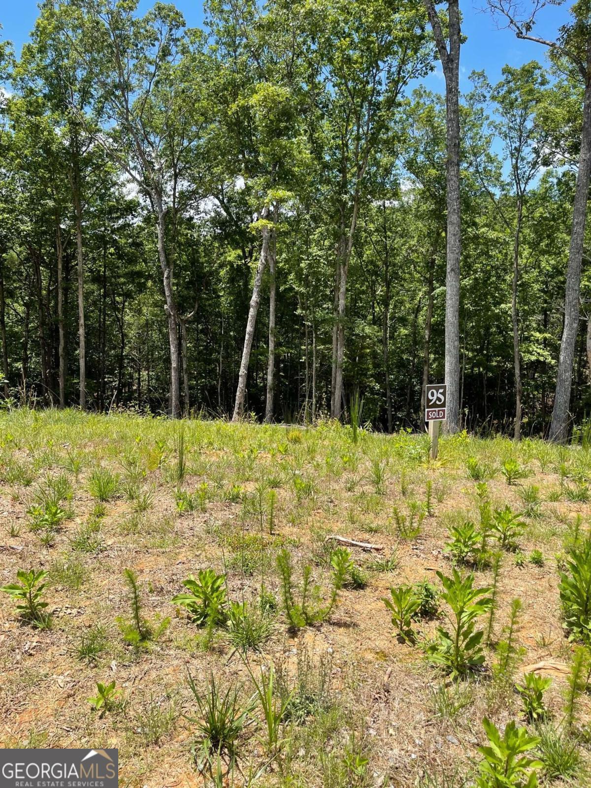 Lot 95 The Ridges Morganton GA 30560