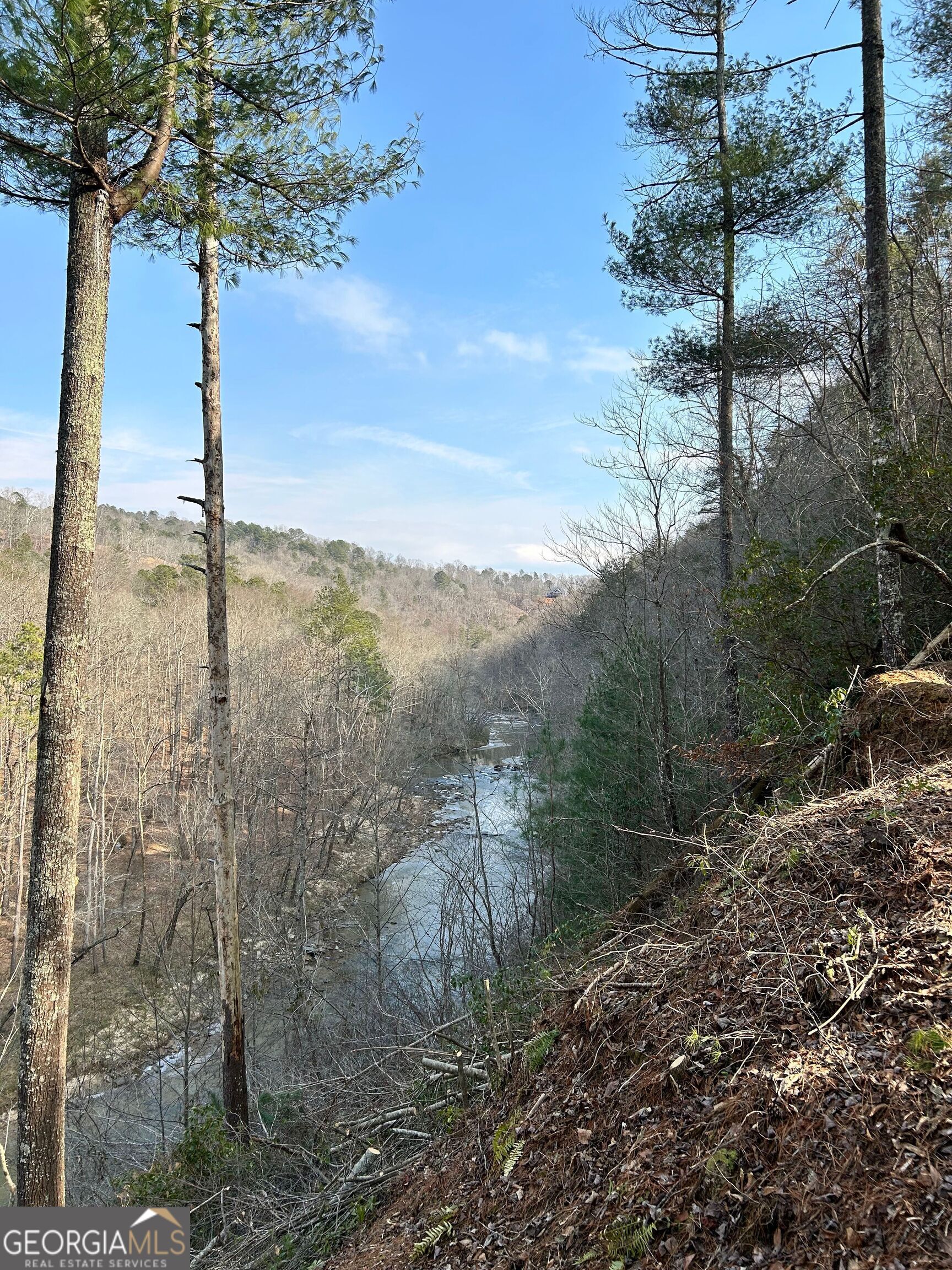 436 Meadow Lane Talking Rock GA 30175