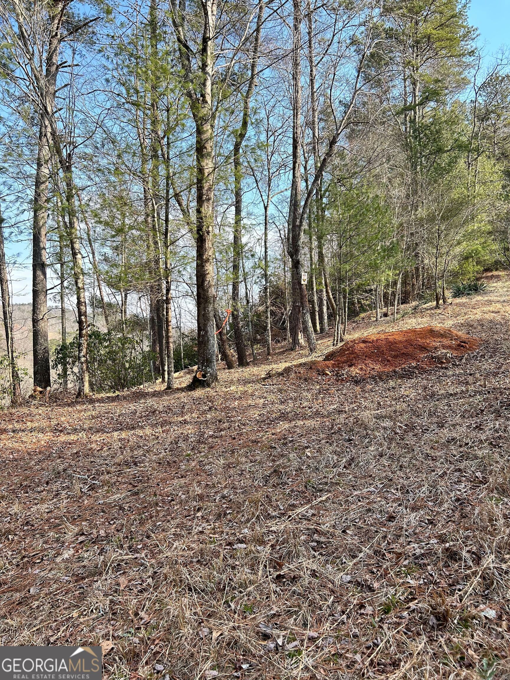 436 Meadow Lane Talking Rock GA 30175