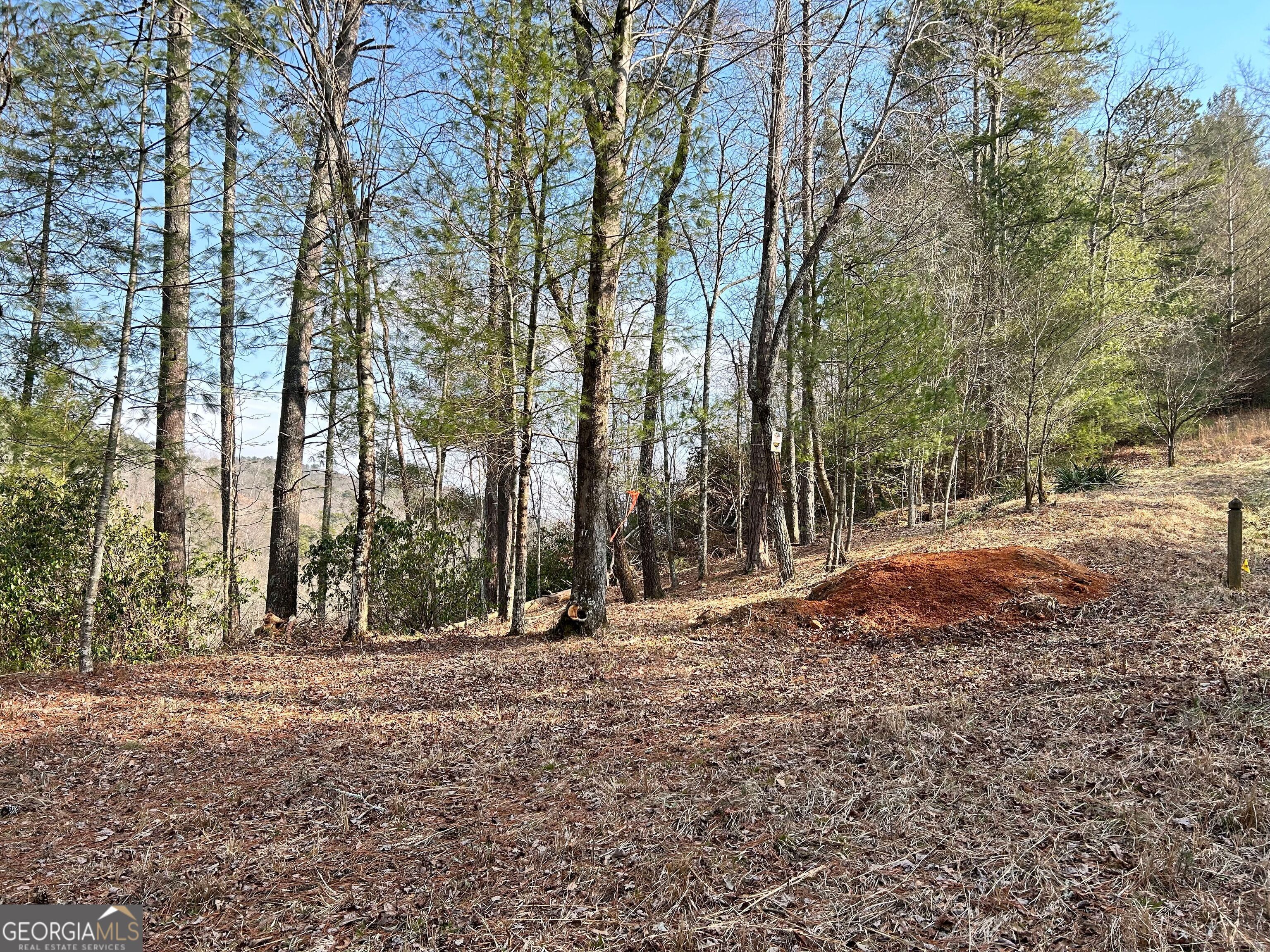 436 Meadow Lane Talking Rock GA 30175