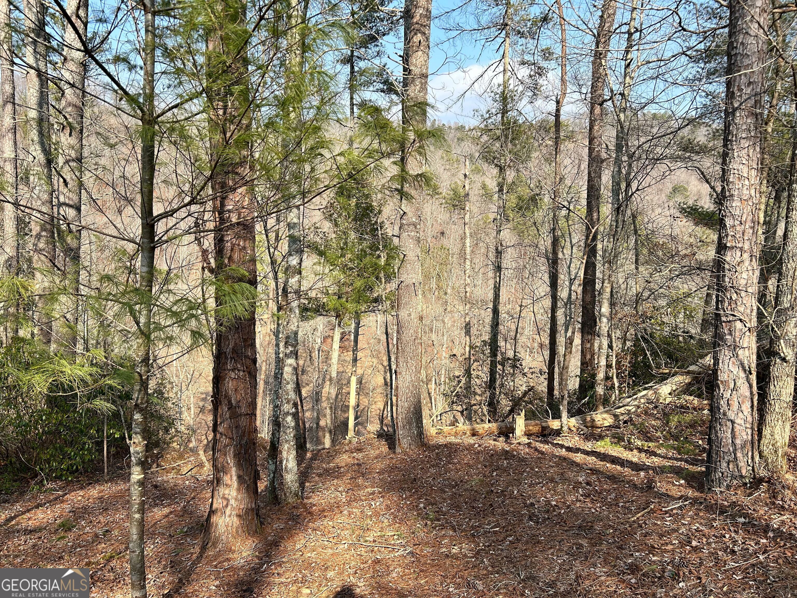 436 Meadow Lane Talking Rock GA 30175