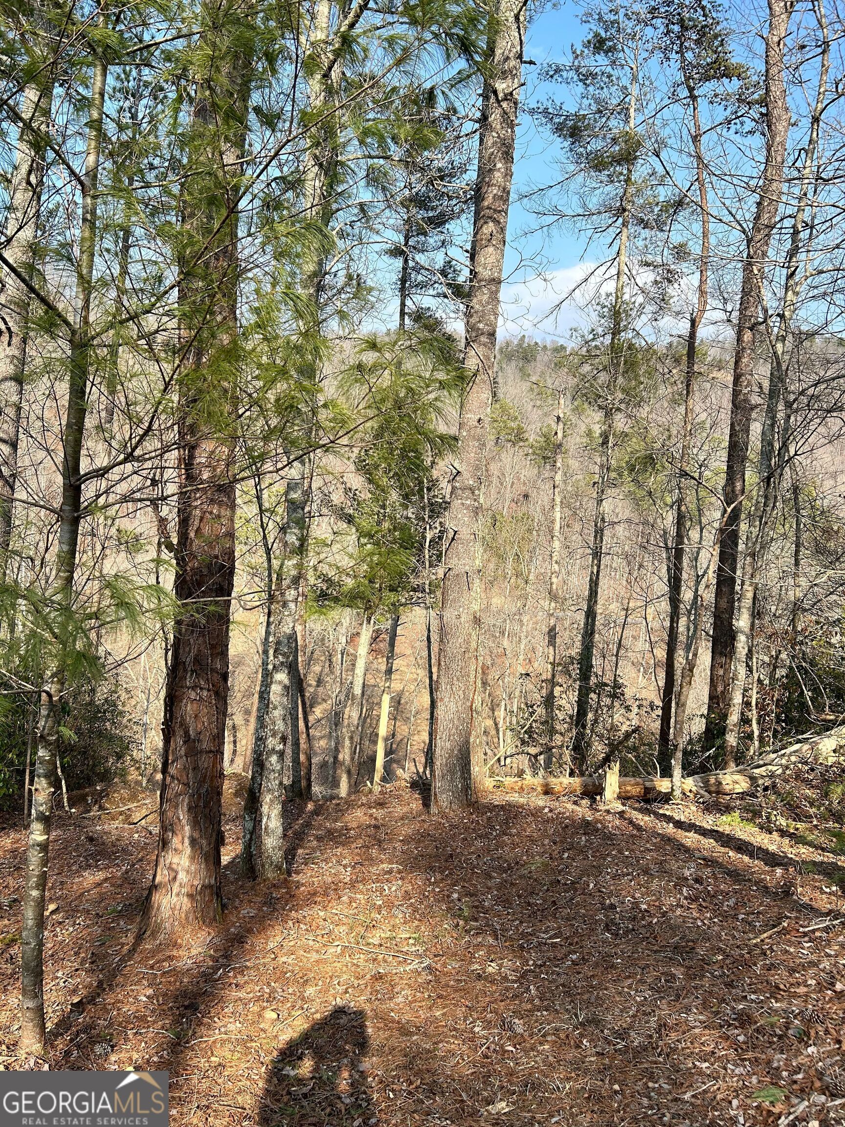 436 Meadow Lane Talking Rock GA 30175