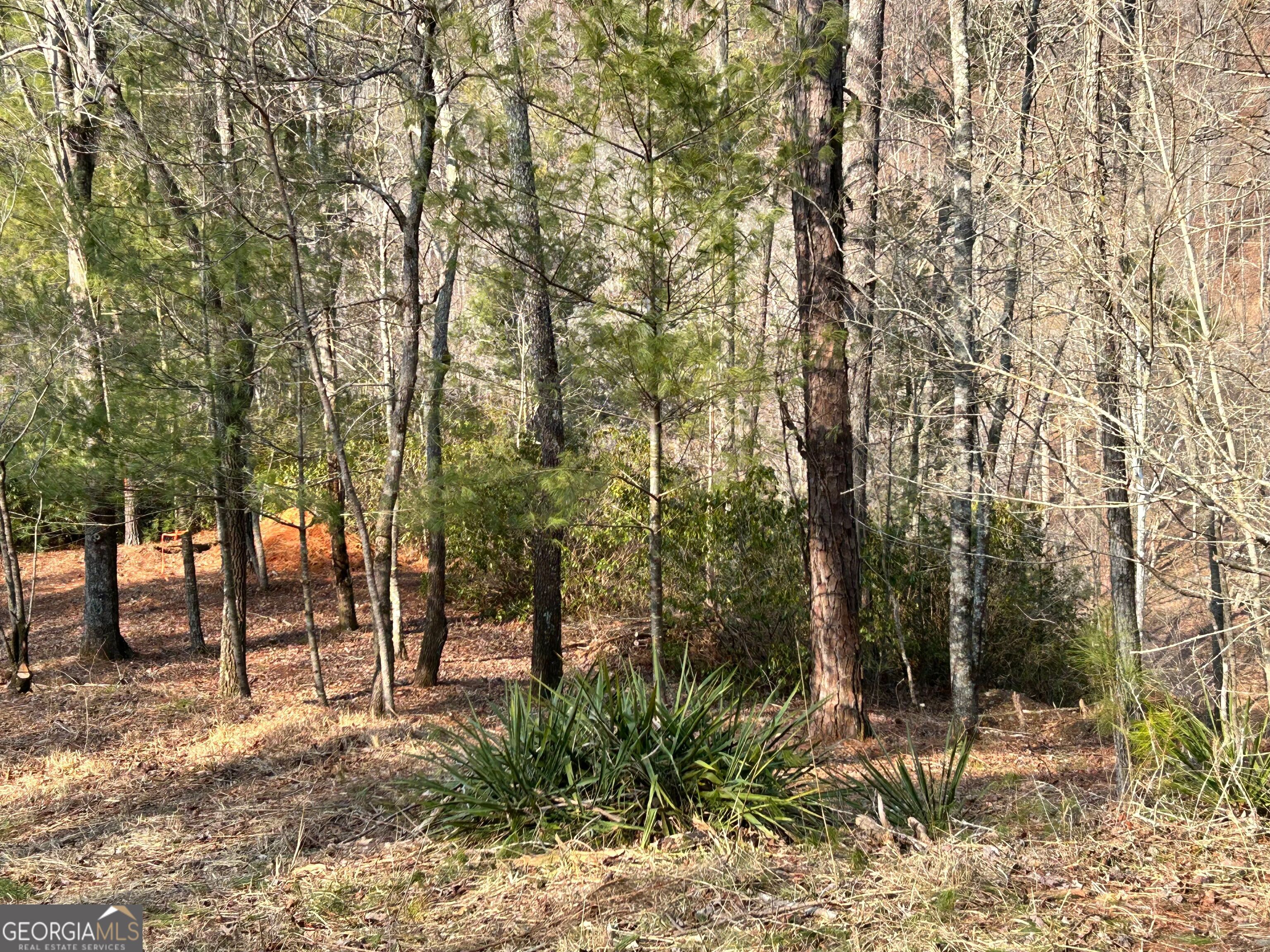 436 Meadow Lane Talking Rock GA 30175