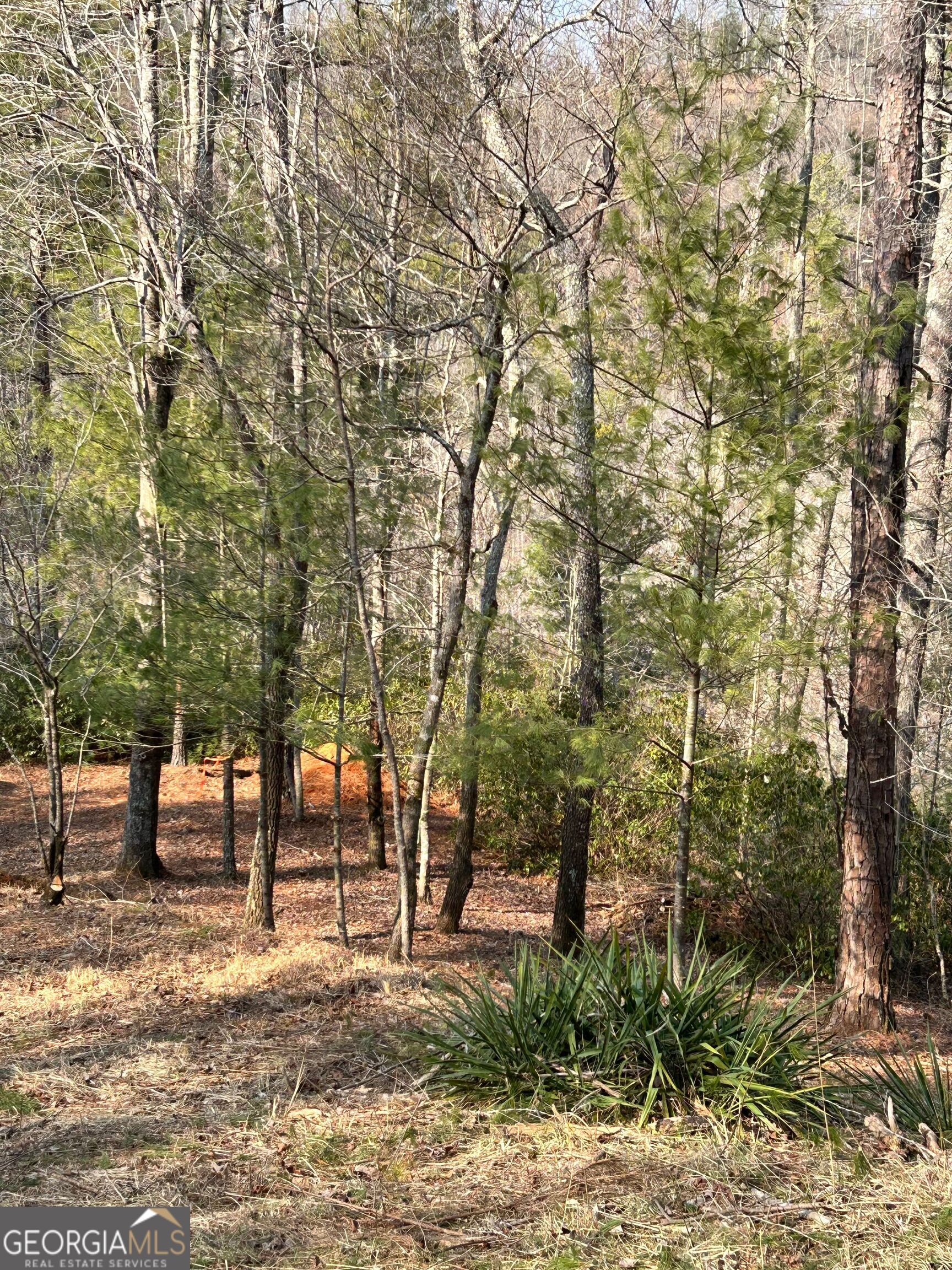 436 Meadow Lane Talking Rock GA 30175