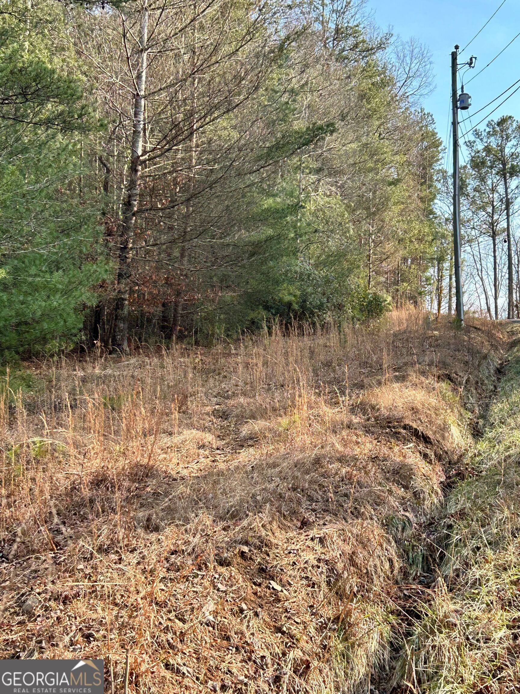 436 Meadow Lane Talking Rock GA 30175