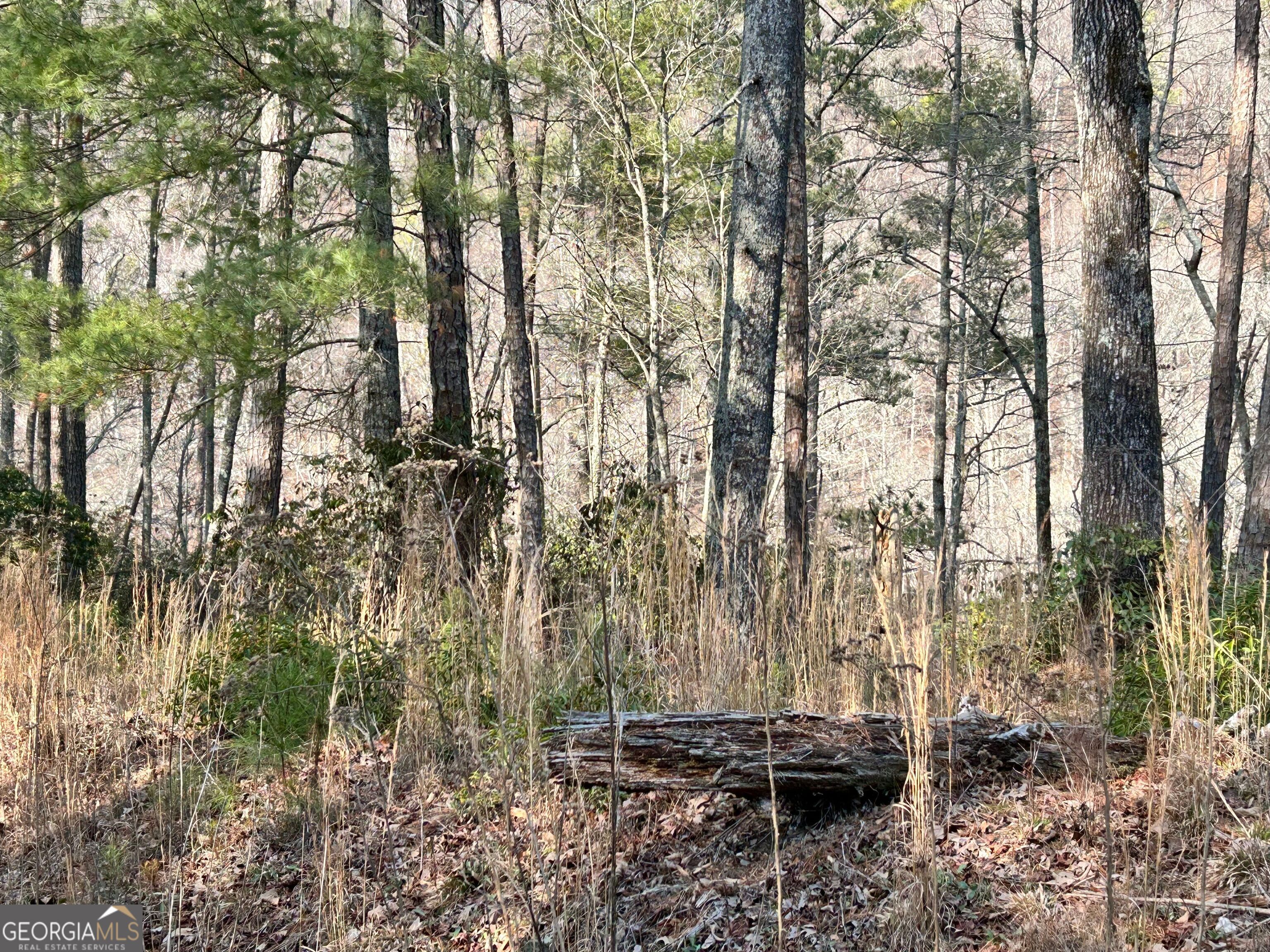 436 Meadow Lane Talking Rock GA 30175