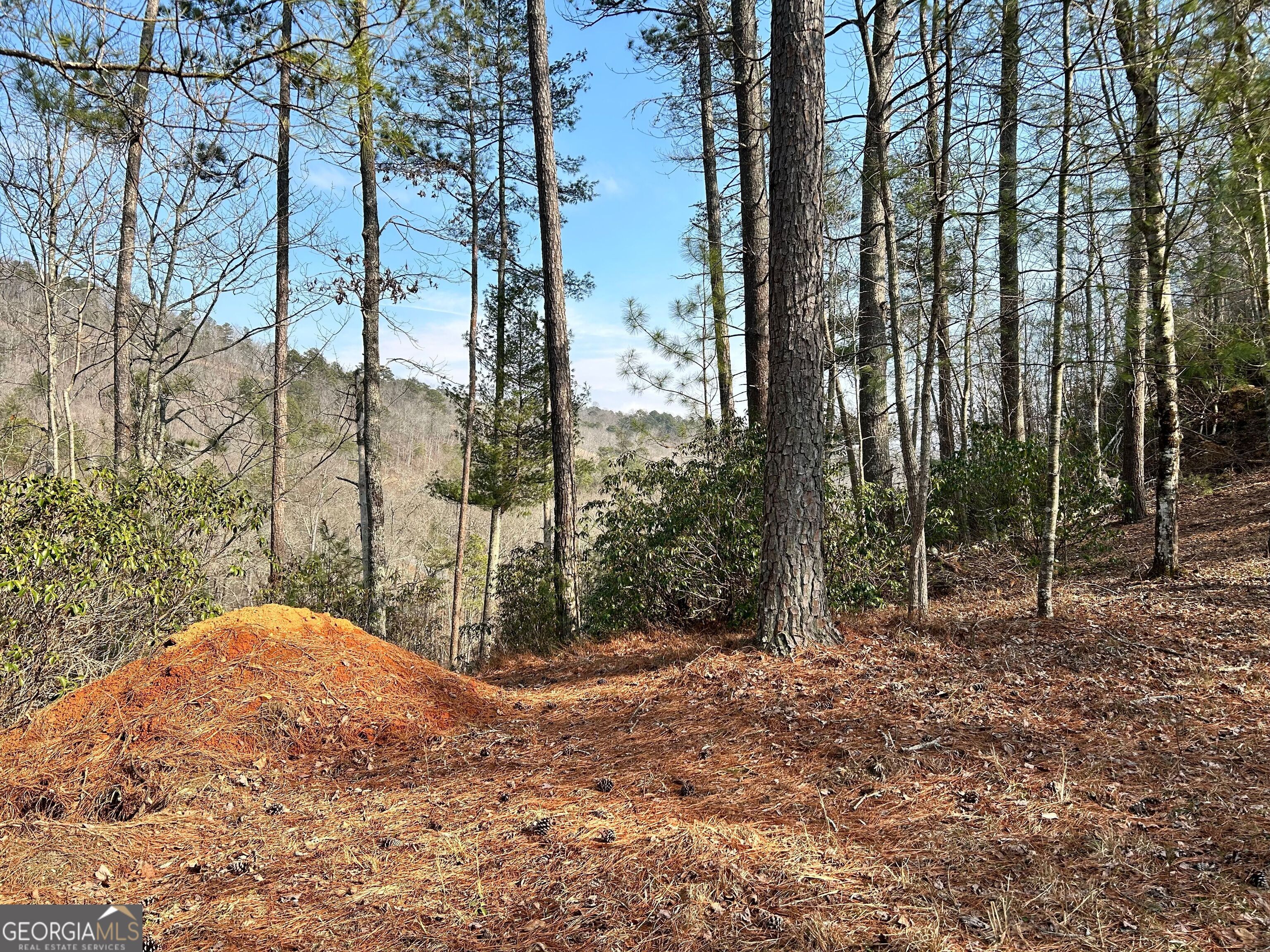 436 Meadow Lane Talking Rock GA 30175