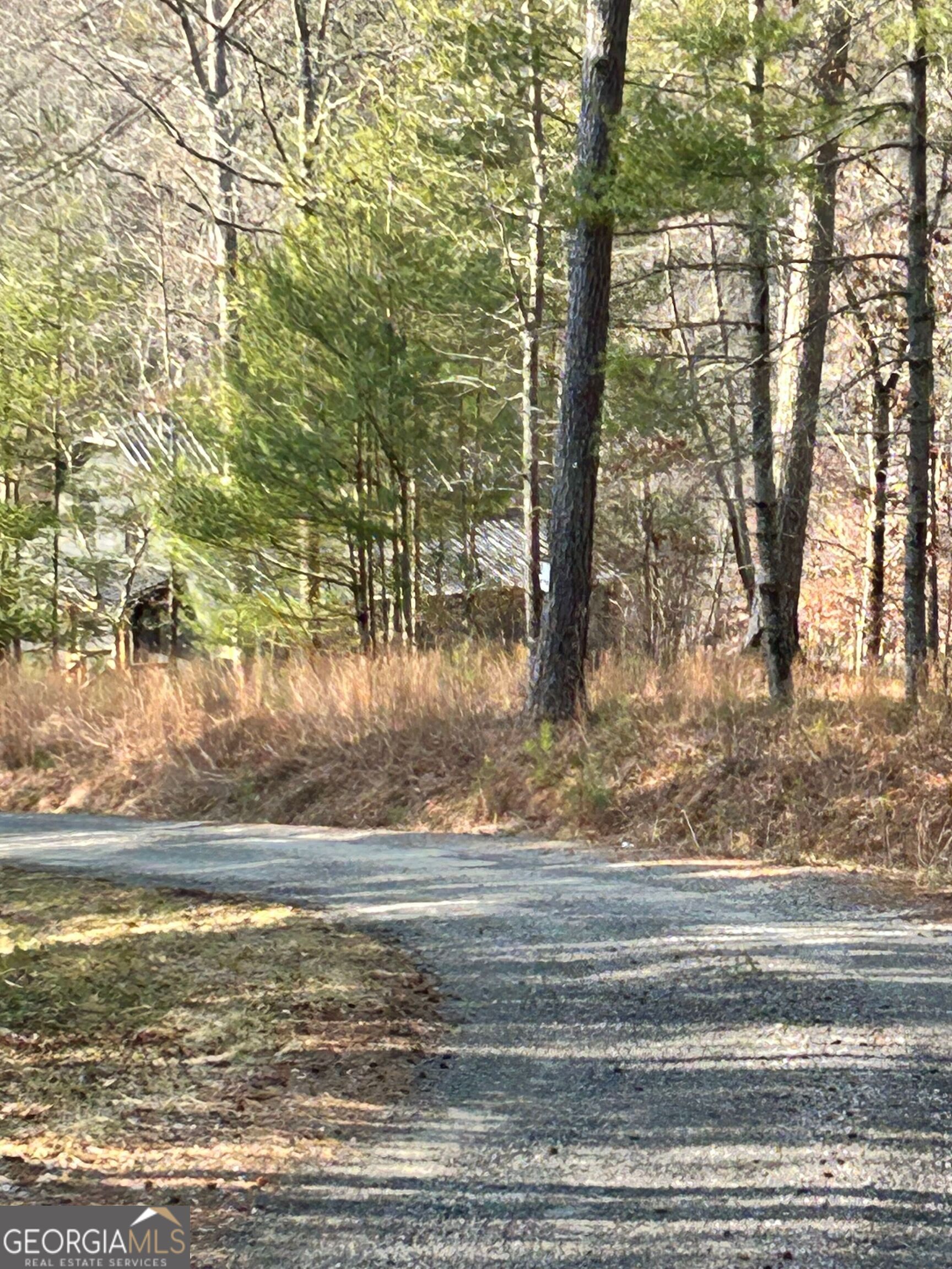 436 Meadow Lane Talking Rock GA 30175