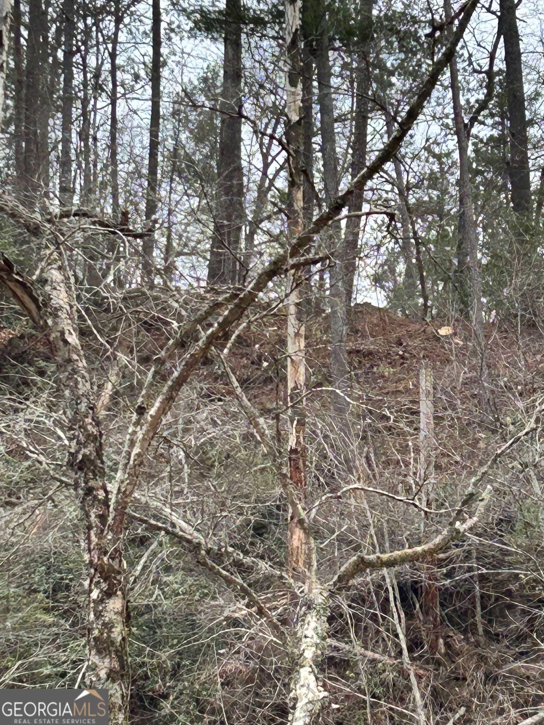 436 Meadow Lane Talking Rock GA 30175