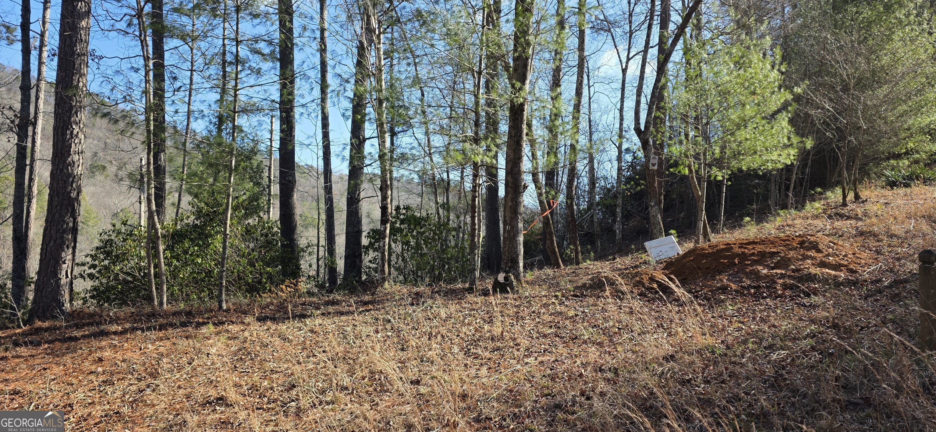 436 Meadow Lane Talking Rock GA 30175