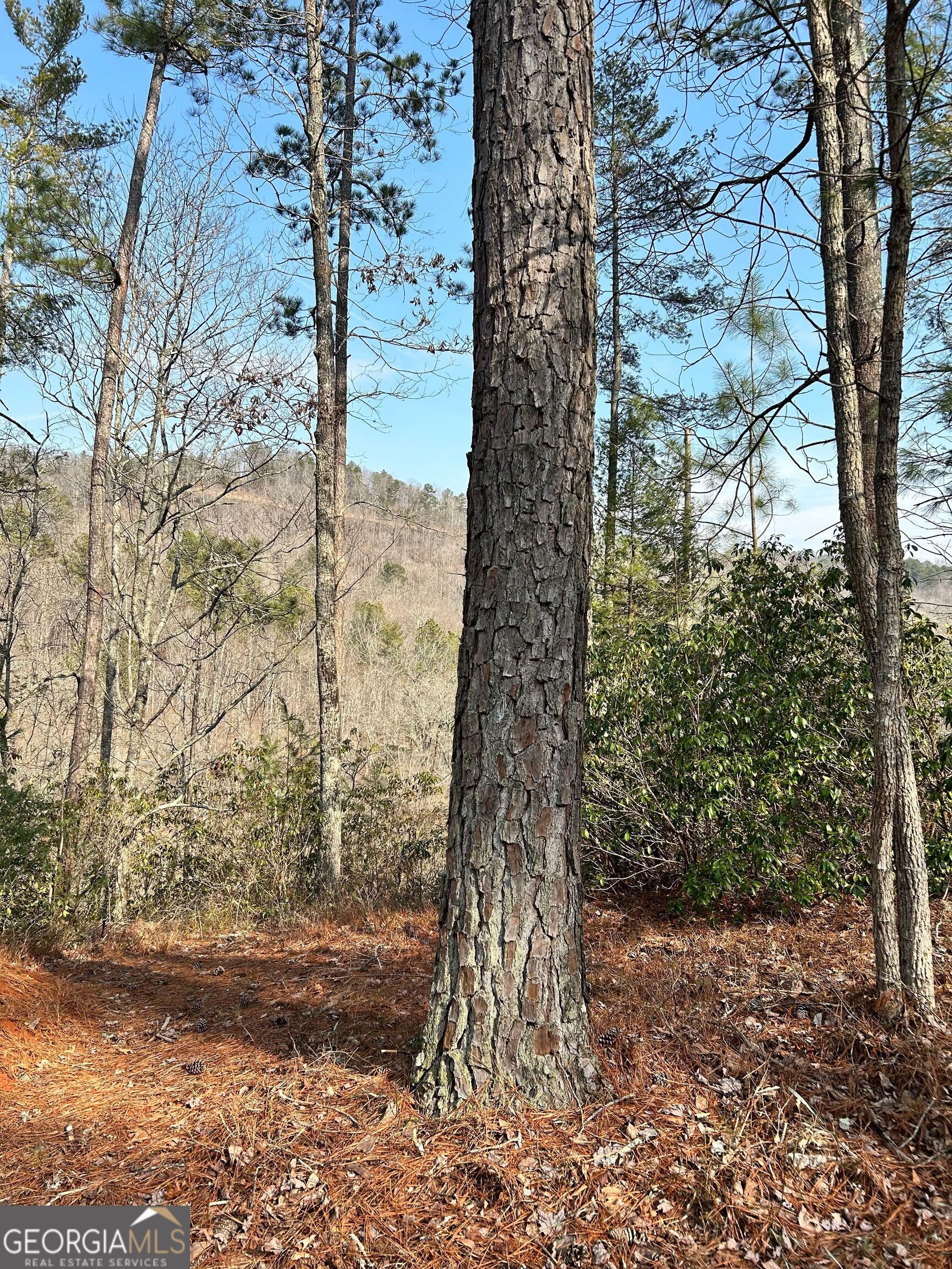 436 Meadow Lane Talking Rock GA 30175
