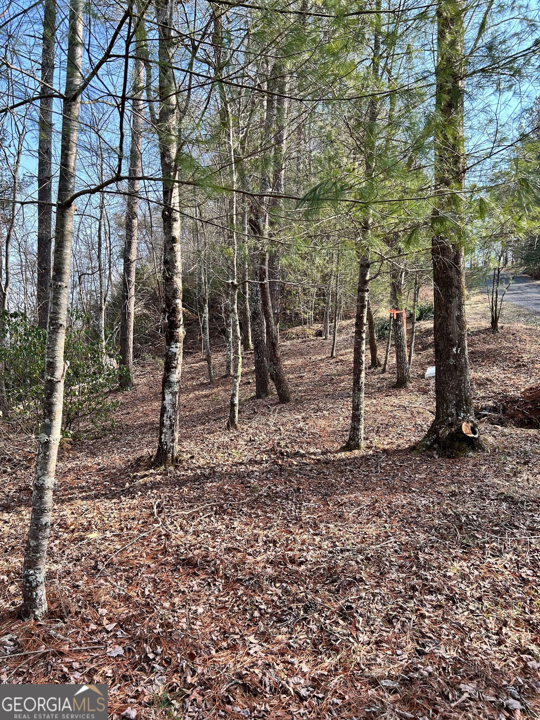 436 Meadow Lane Talking Rock GA 30175