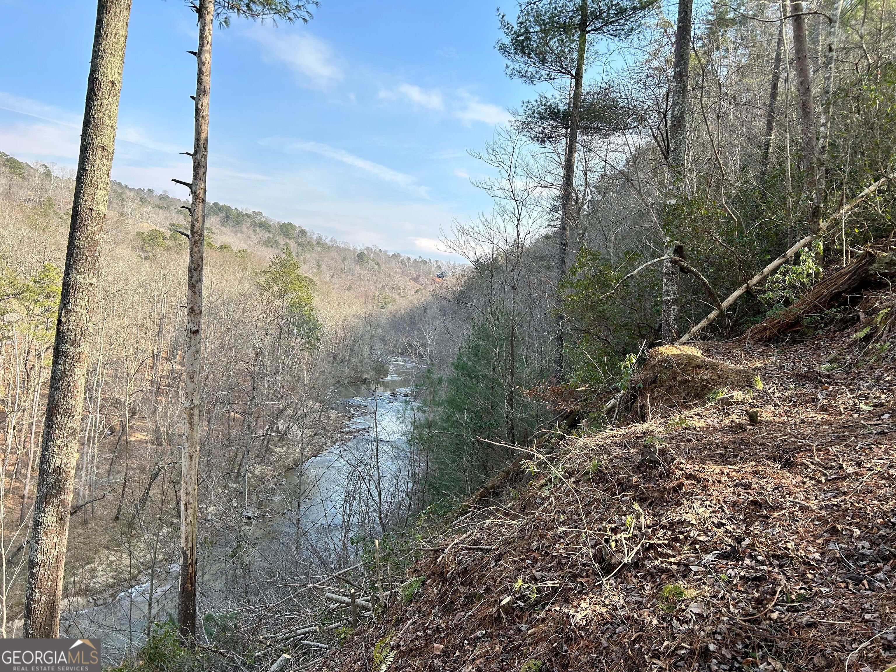 436 Meadow Lane Talking Rock GA 30175