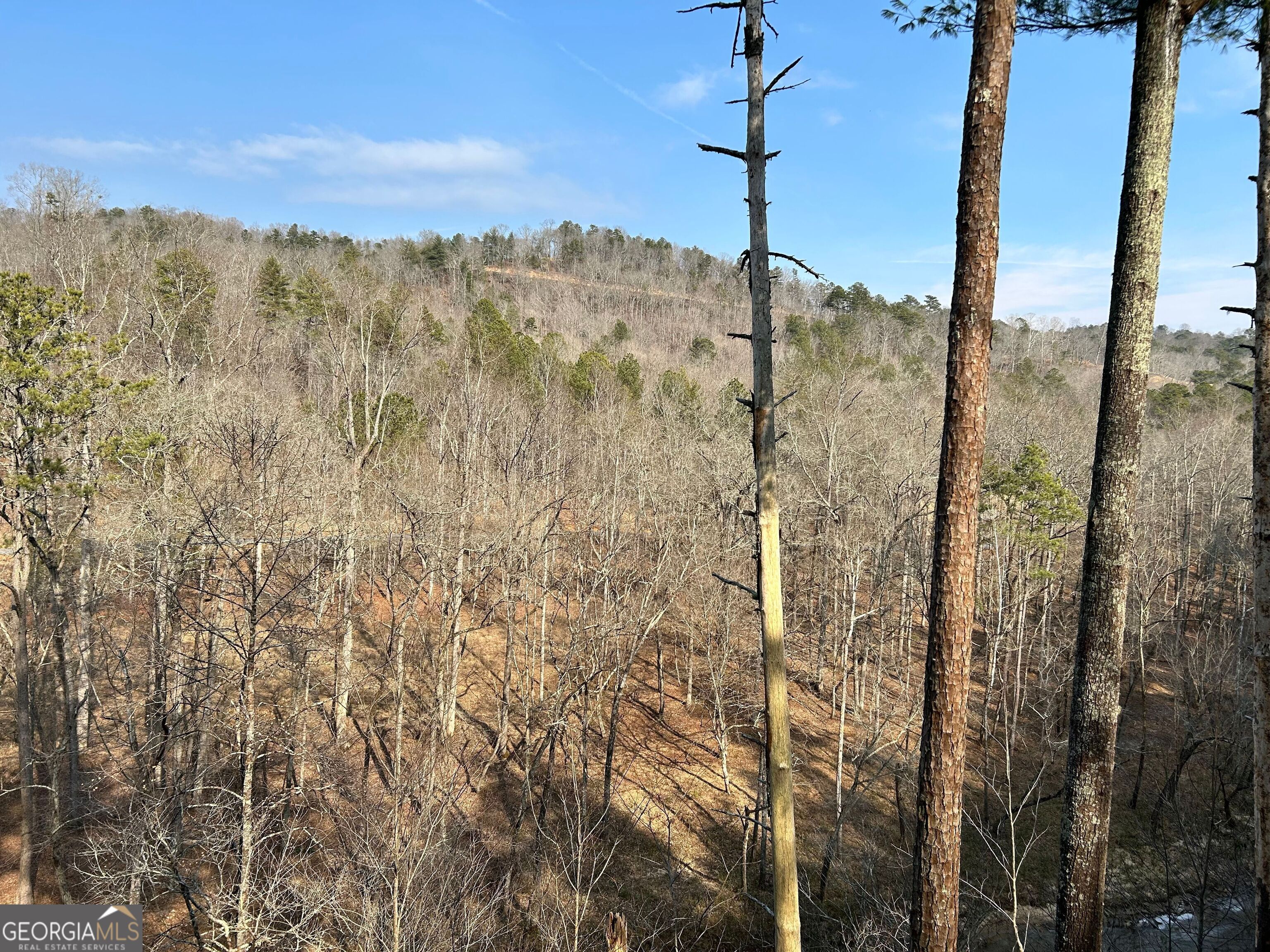 436 Meadow Lane Talking Rock GA 30175