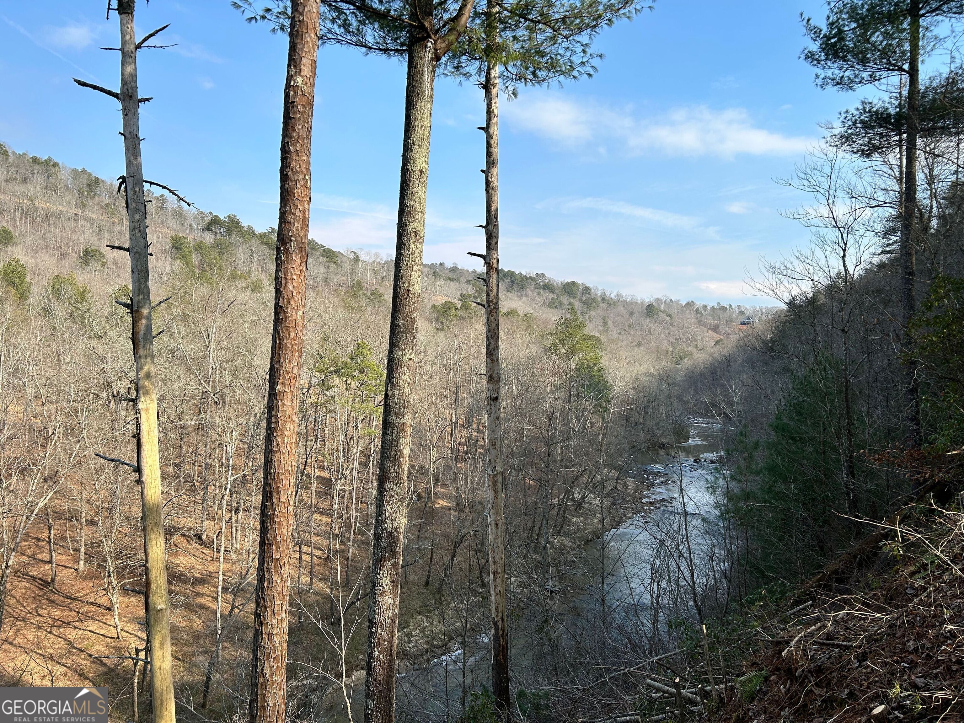 436 Meadow Lane Talking Rock GA 30175