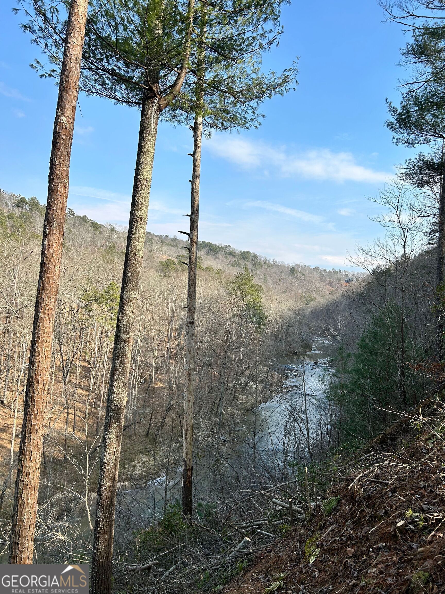 436 Meadow Lane Talking Rock GA 30175