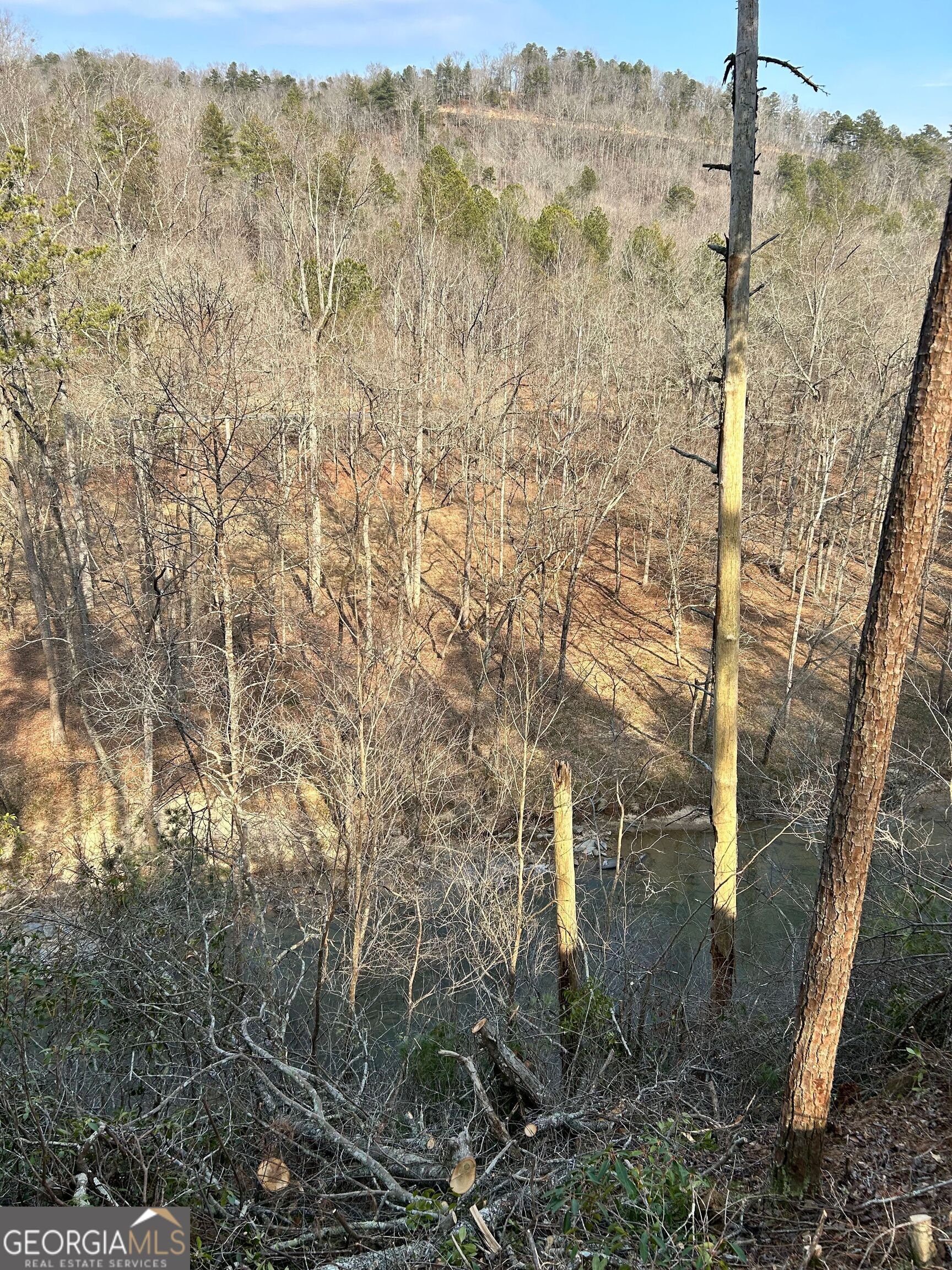436 Meadow Lane Talking Rock GA 30175