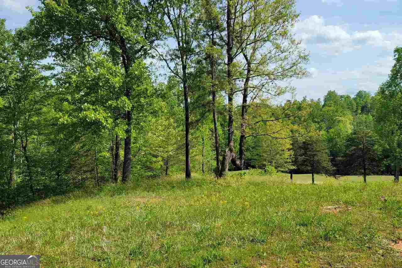 256 Golf Ridge Way Toccoa GA 30577