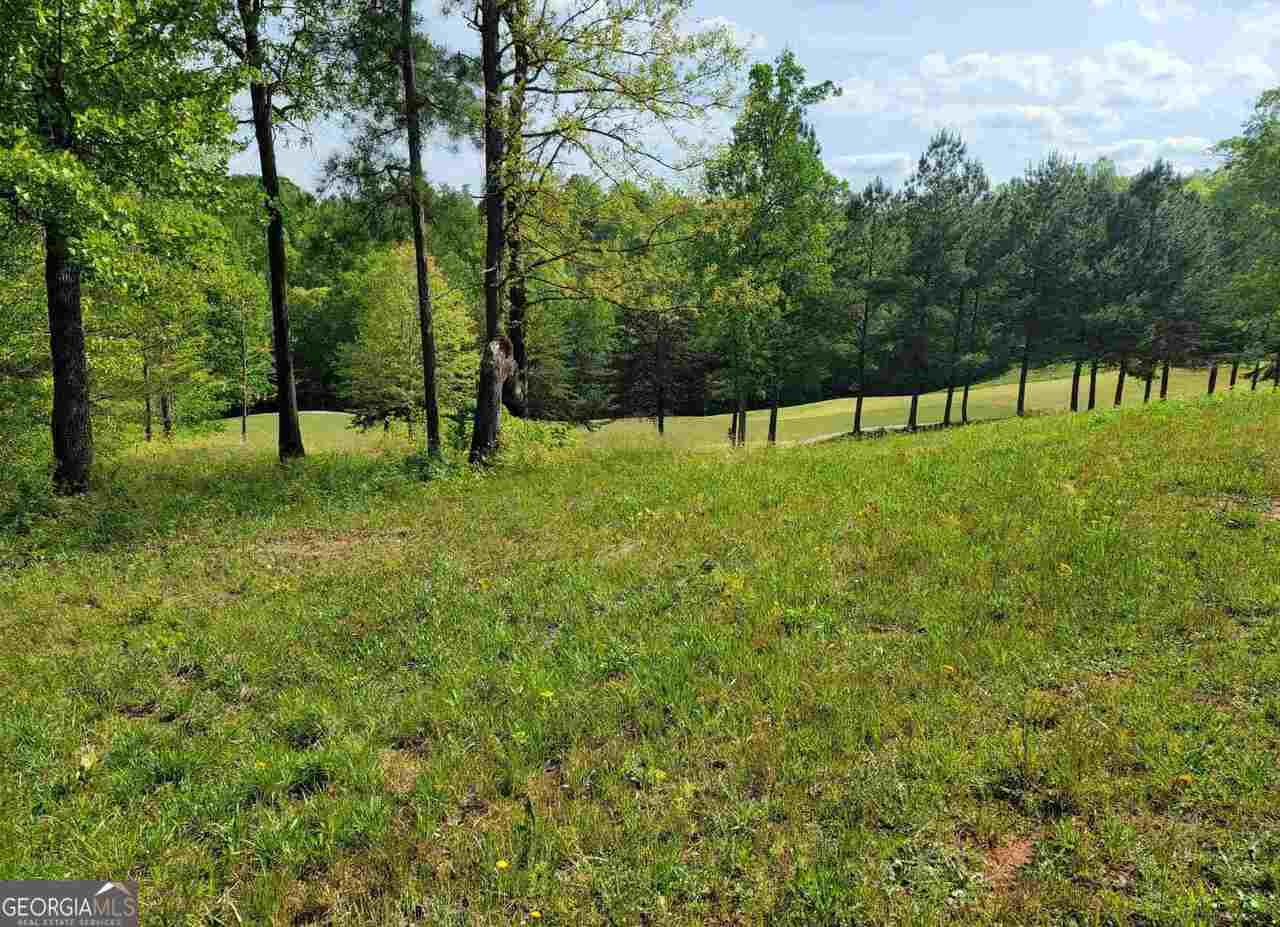 256 Golf Ridge Way Toccoa GA 30577