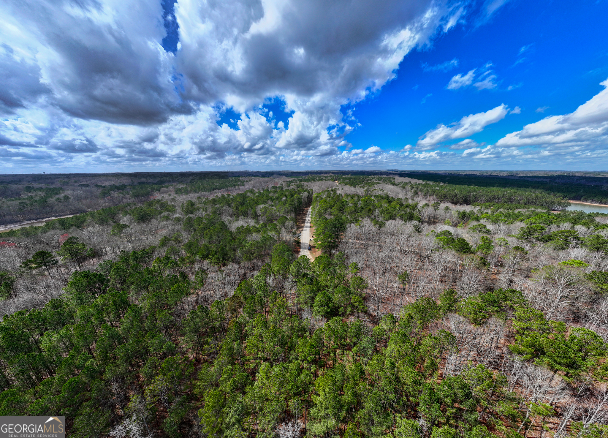 3+/- Acres Happy Hollow Road Hampton GA 30228