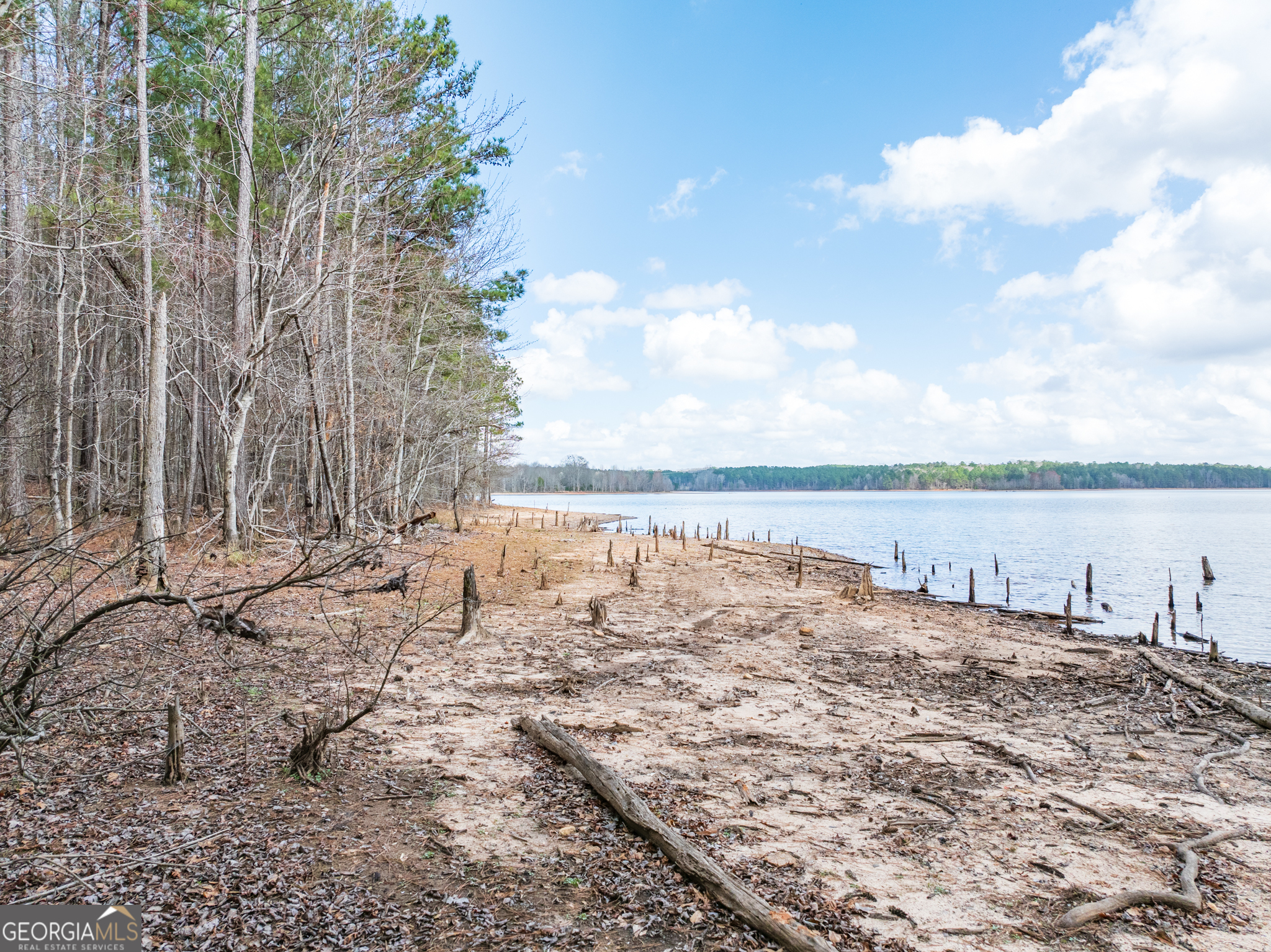 3+/- Acres Happy Hollow Road Hampton GA 30228