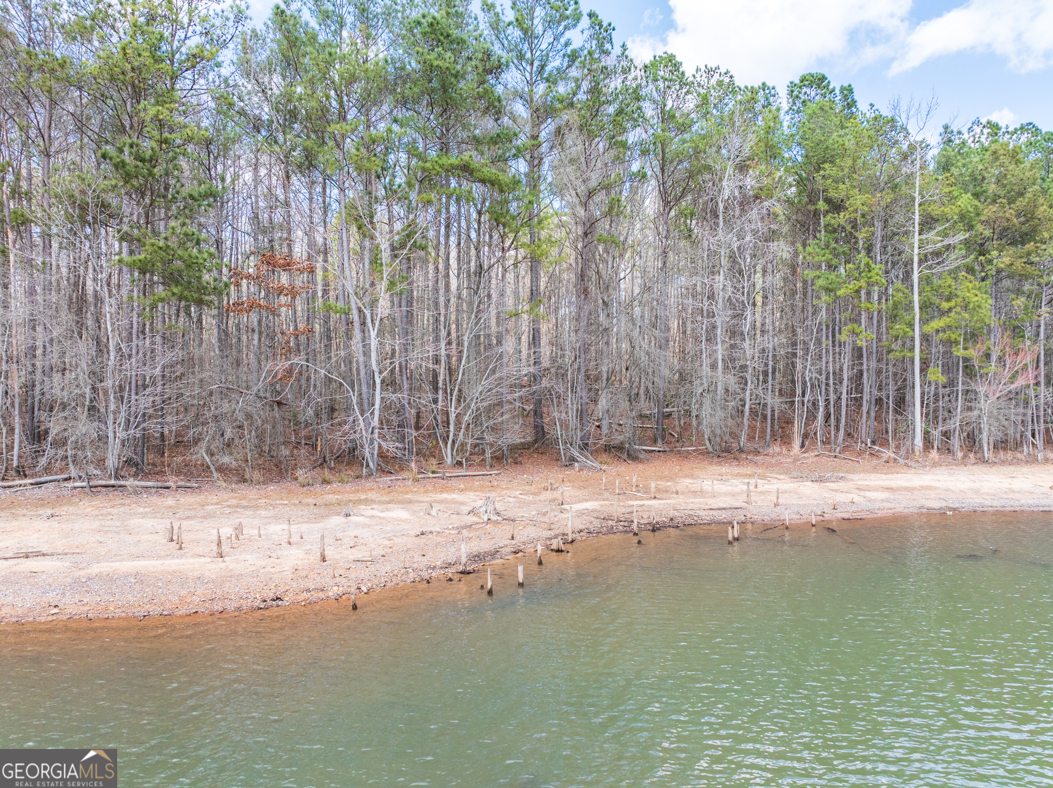 3+/- Acres Happy Hollow Road Hampton GA 30228