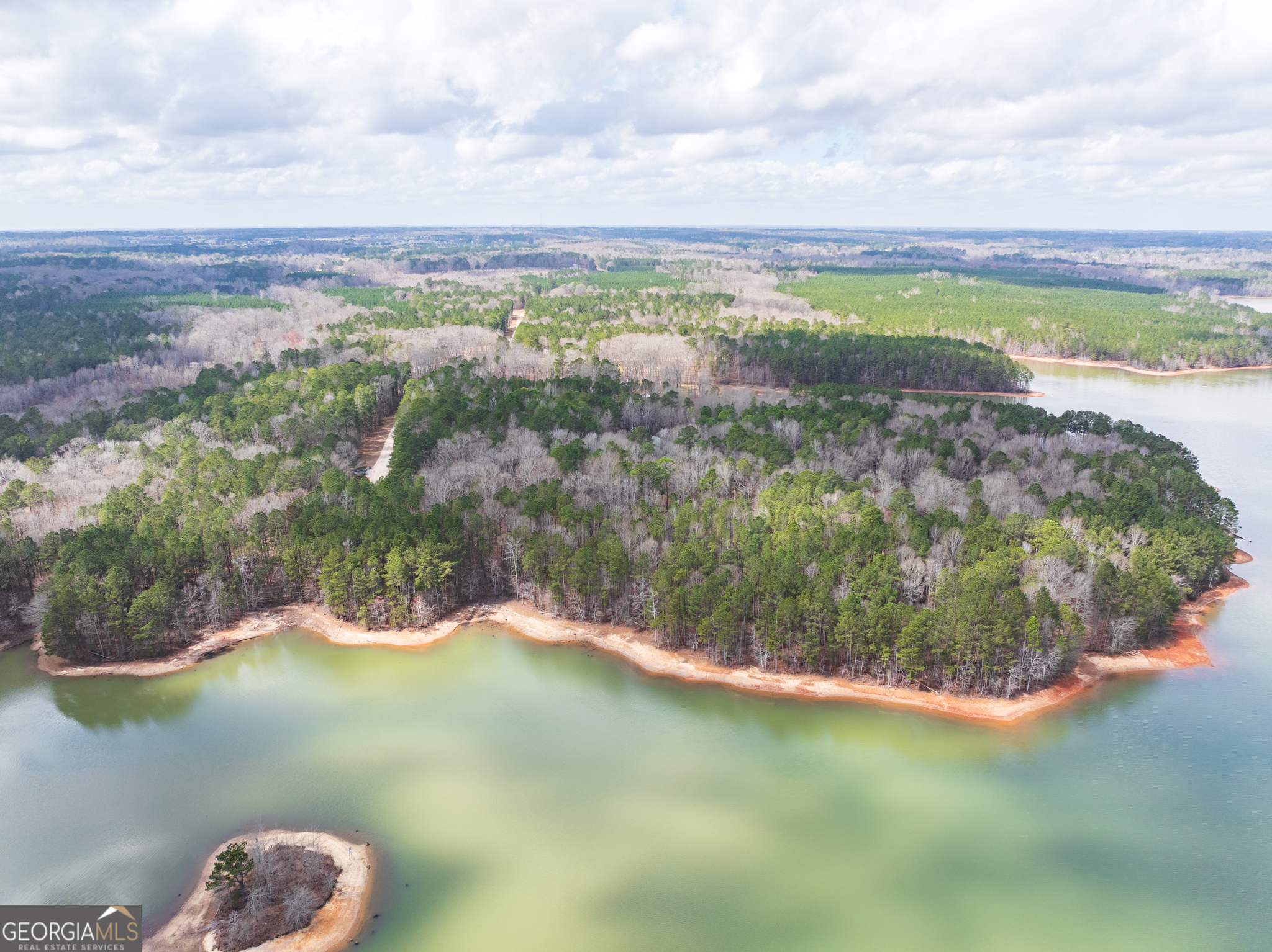 3+/- Acres Happy Hollow Road Hampton GA 30228
