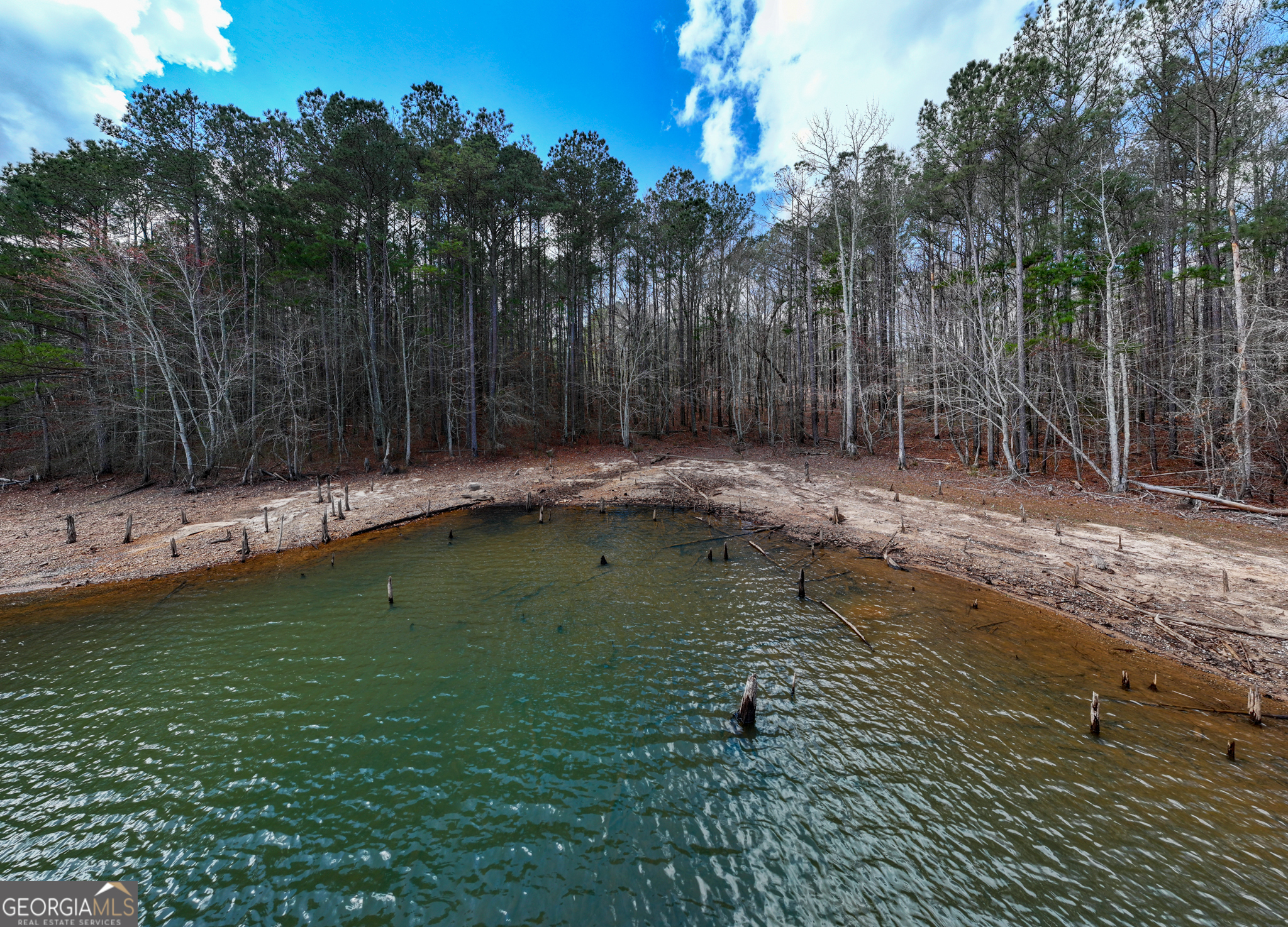 3+/- Acres Happy Hollow Road Hampton GA 30228