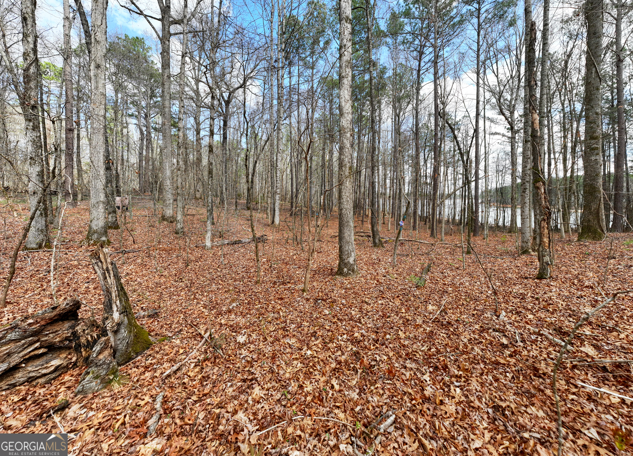 3+/- Acres Happy Hollow Road Hampton GA 30228