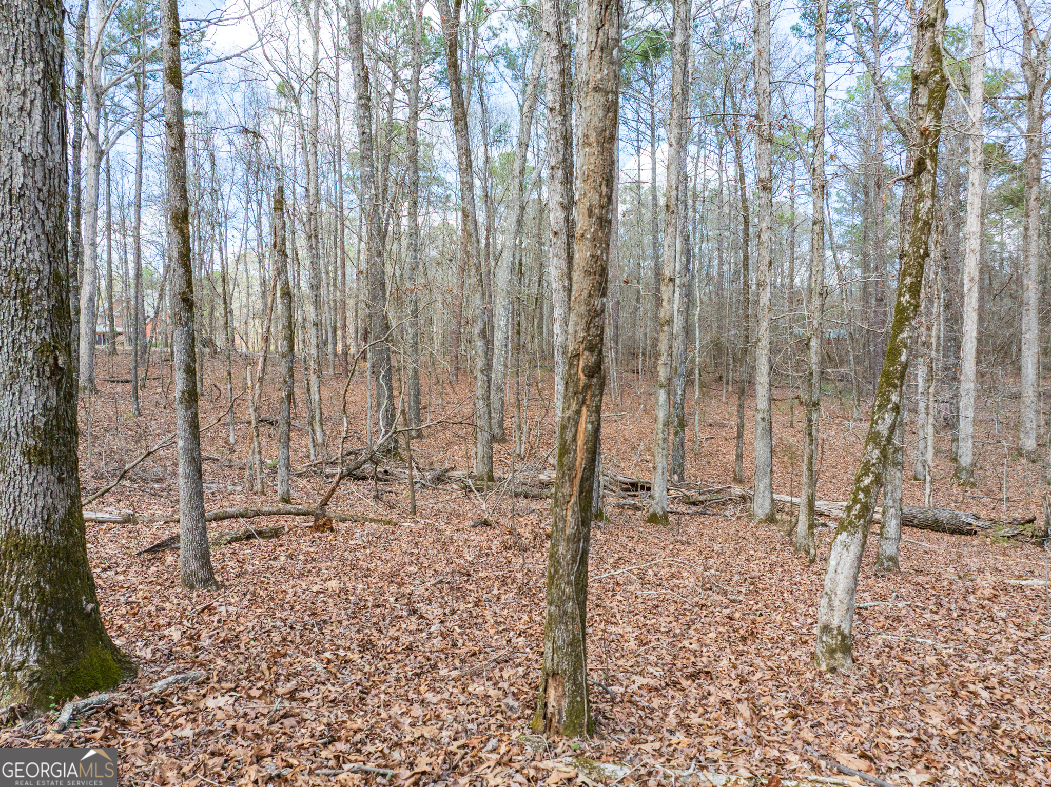 3+/- Acres Happy Hollow Road Hampton GA 30228
