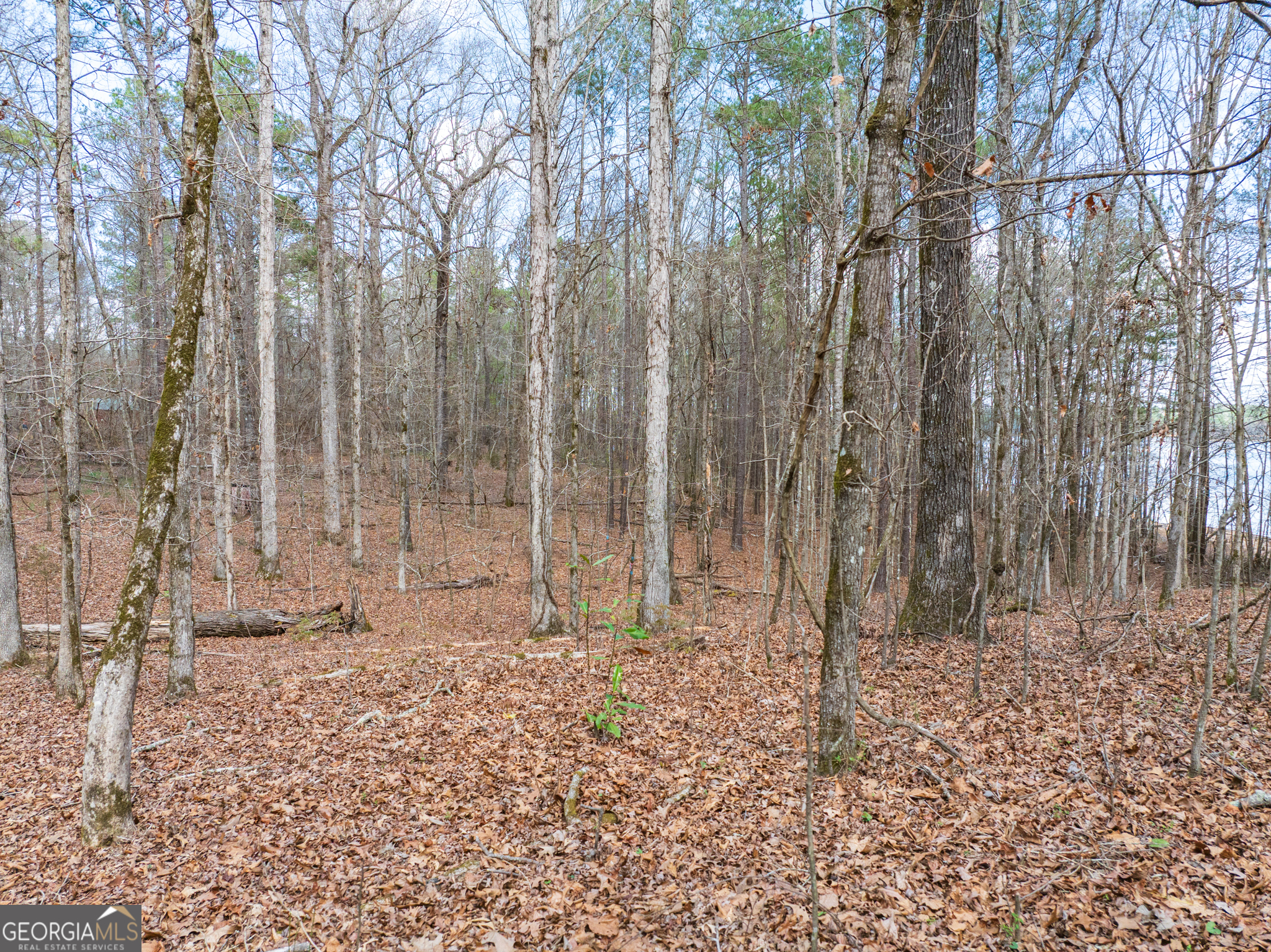 3+/- Acres Happy Hollow Road Hampton GA 30228