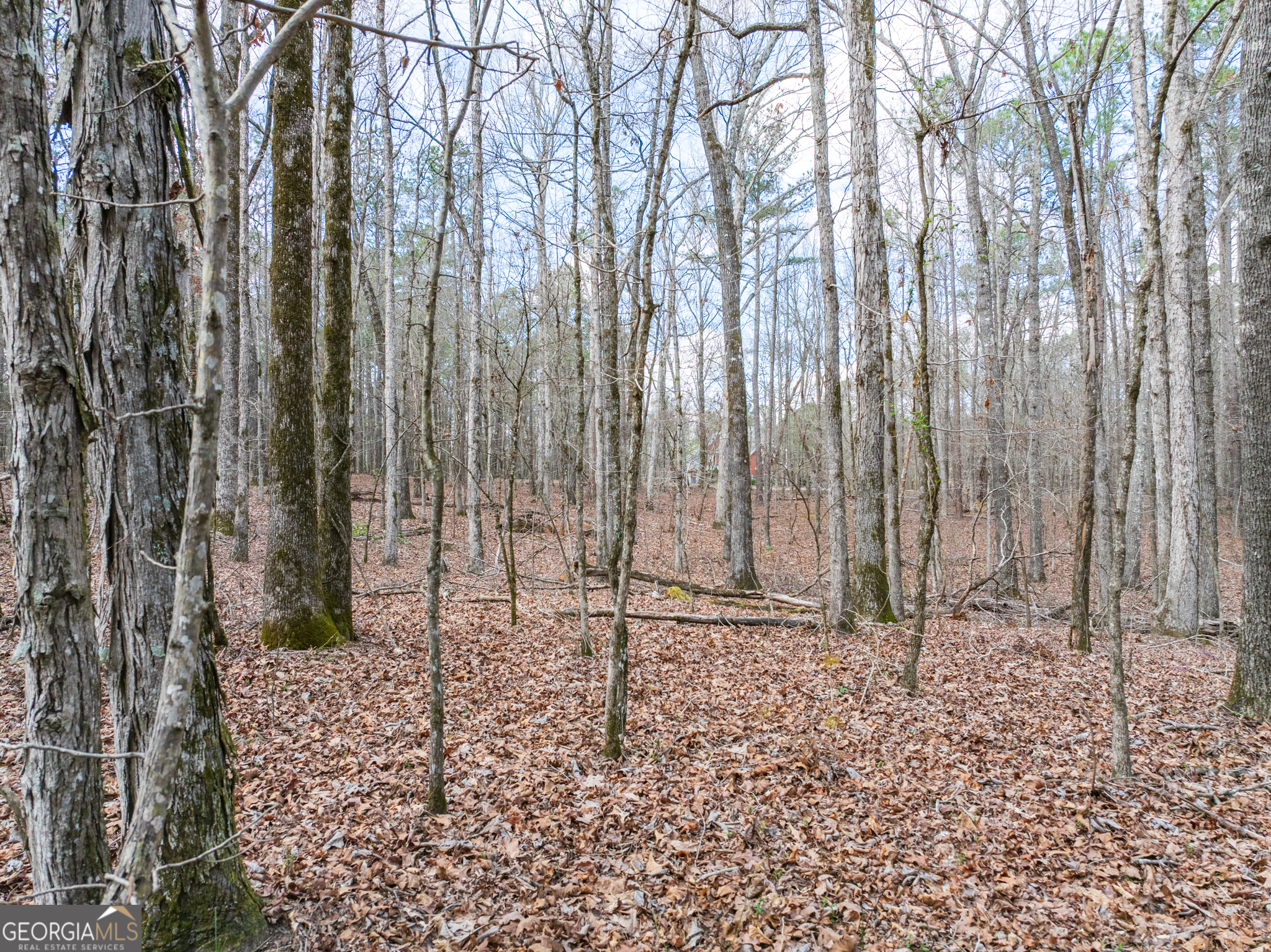 3+/- Acres Happy Hollow Road Hampton GA 30228