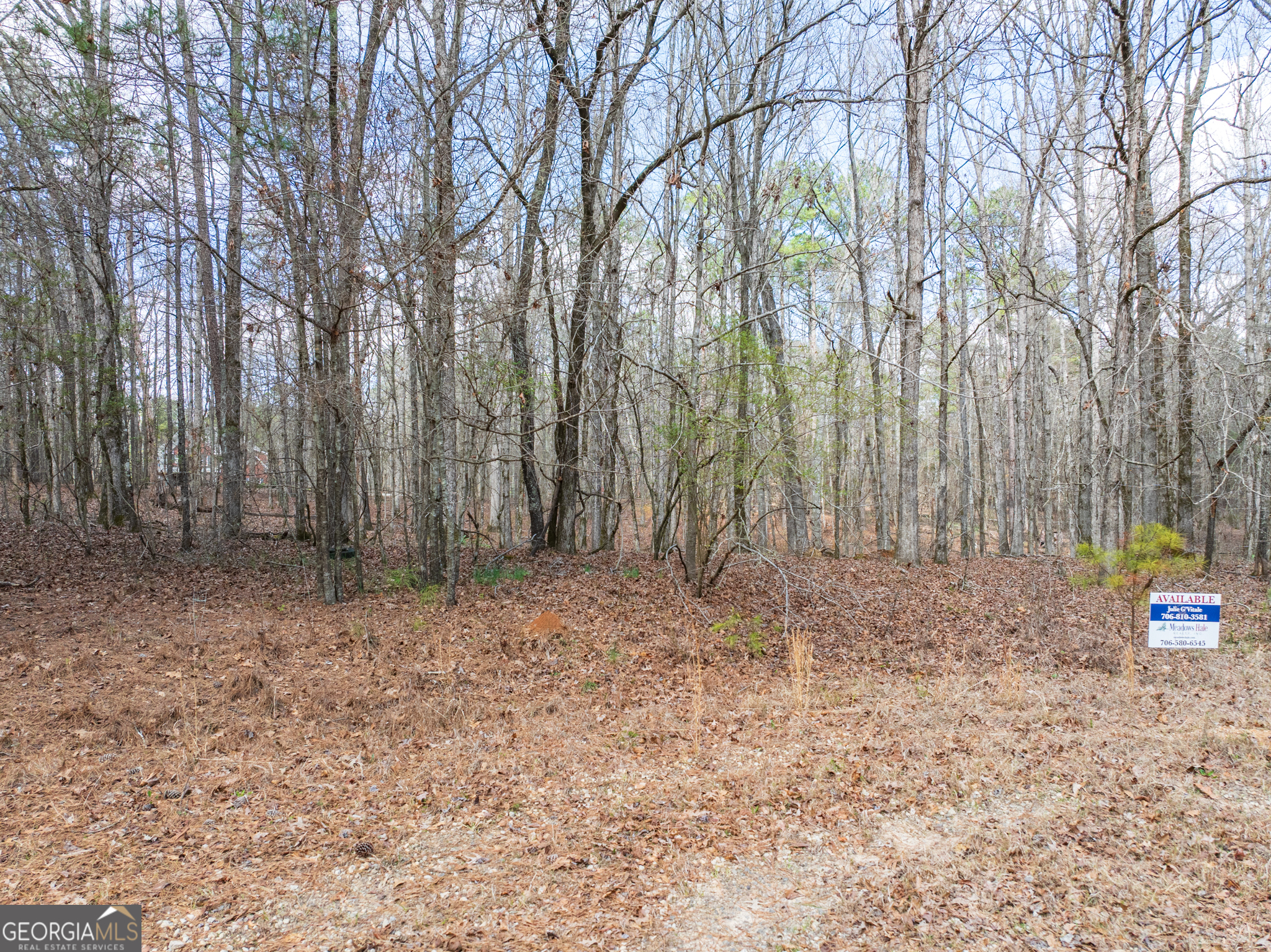 3+/- Acres Happy Hollow Road Hampton GA 30228