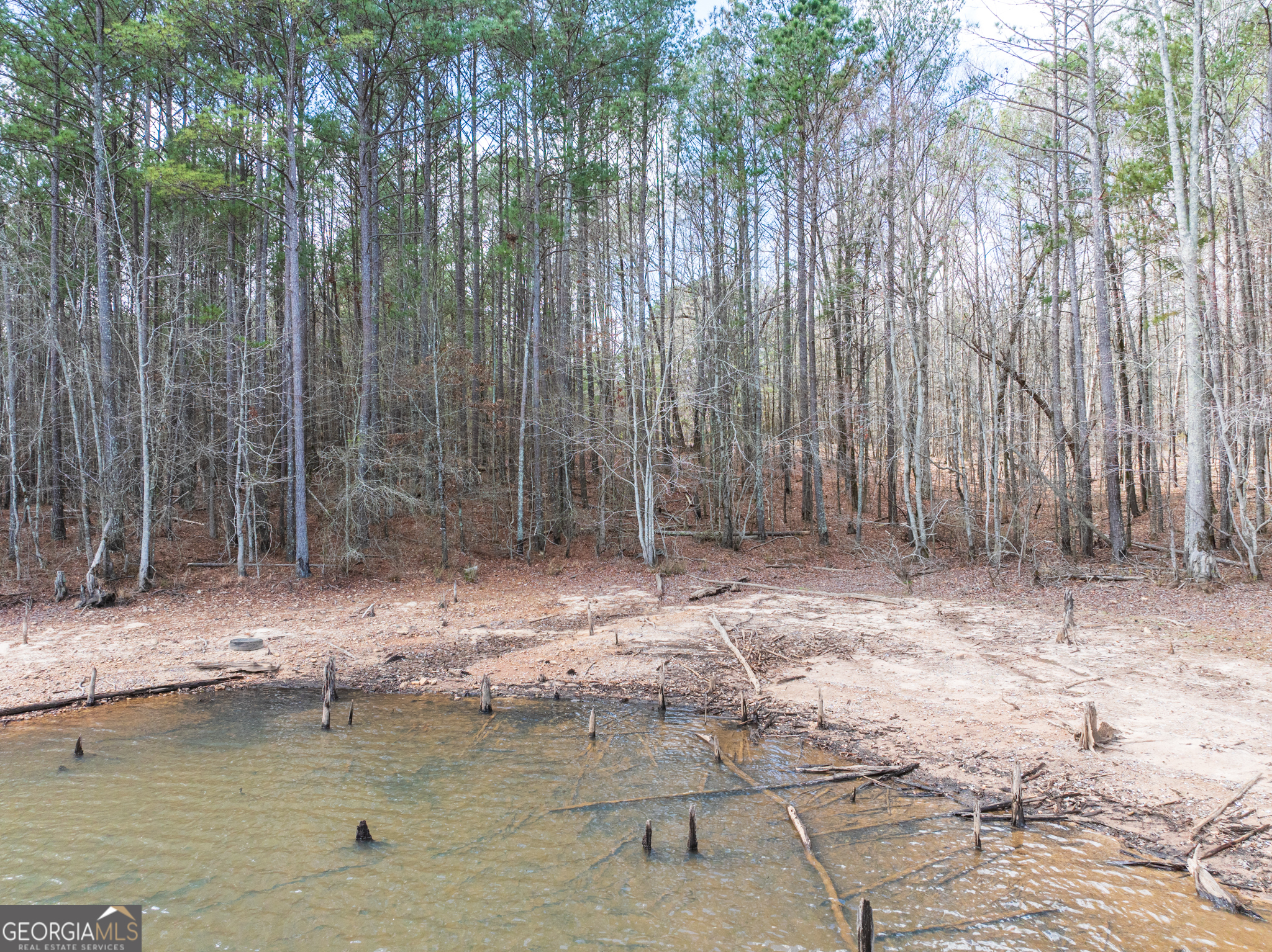 3+/- Acres Happy Hollow Road Hampton GA 30228