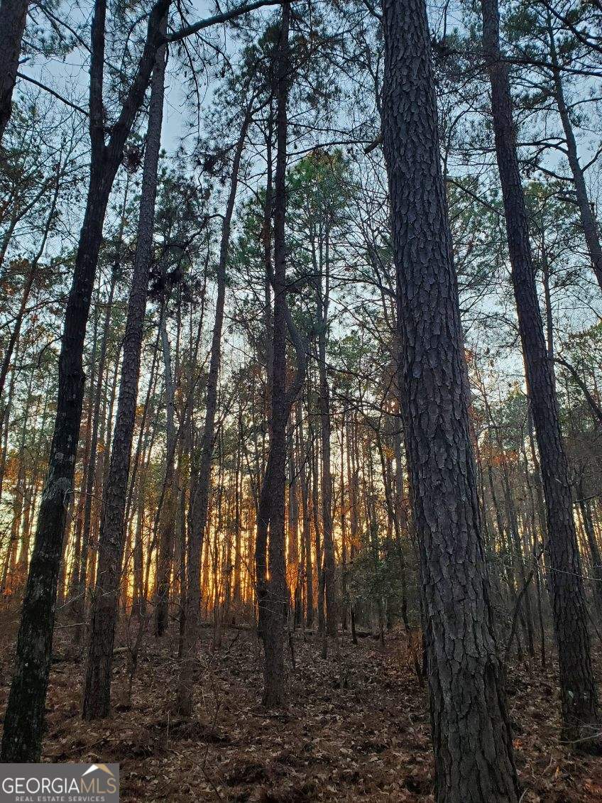 0 Mark Wood Road Dexter GA 31019