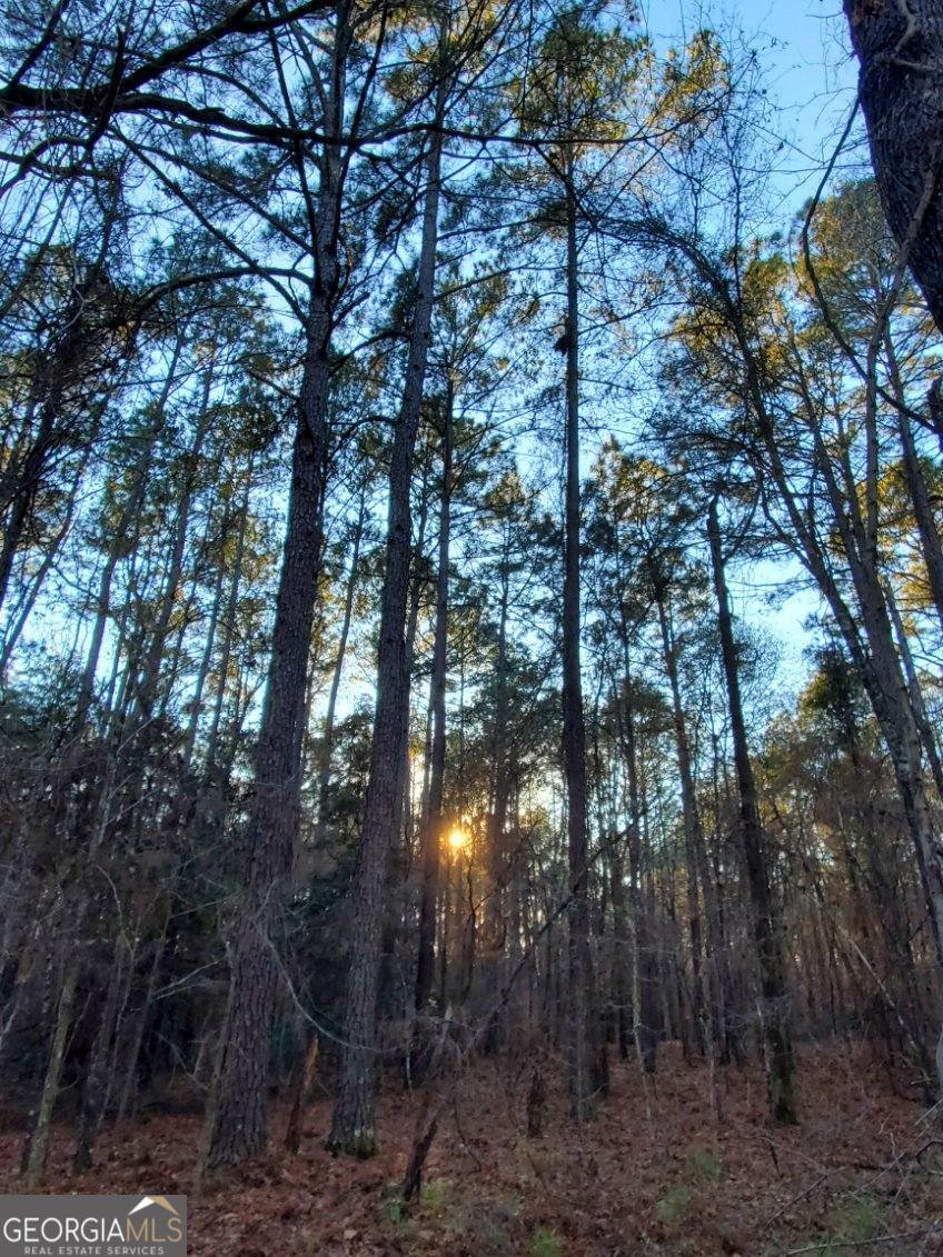 0 Mark Wood Road Dexter GA 31019
