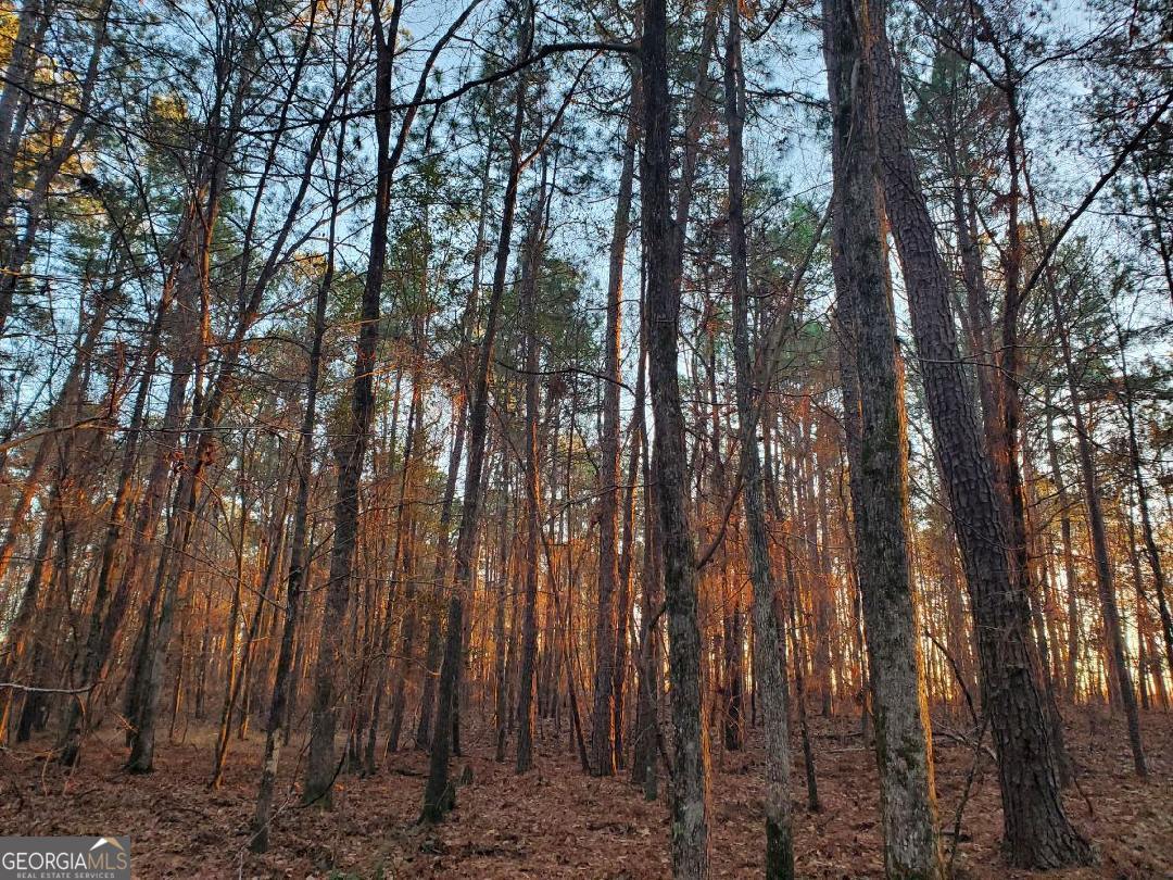 0 Mark Wood Road Dexter GA 31019